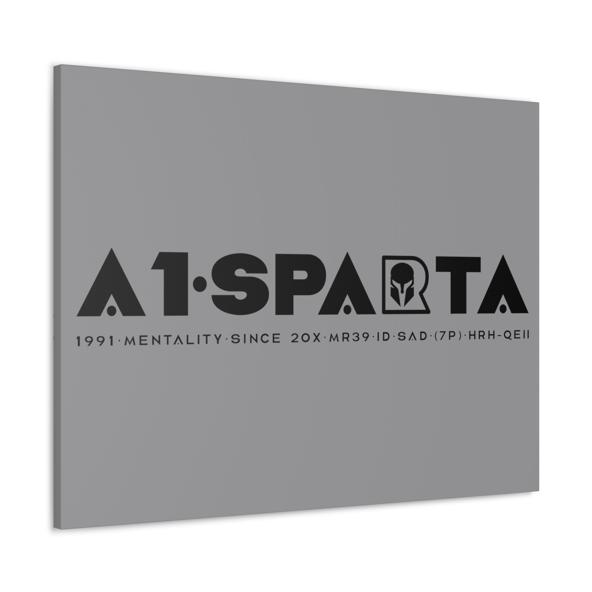 Canvas Gallery Wraps (A1•SPARTA RANGE)