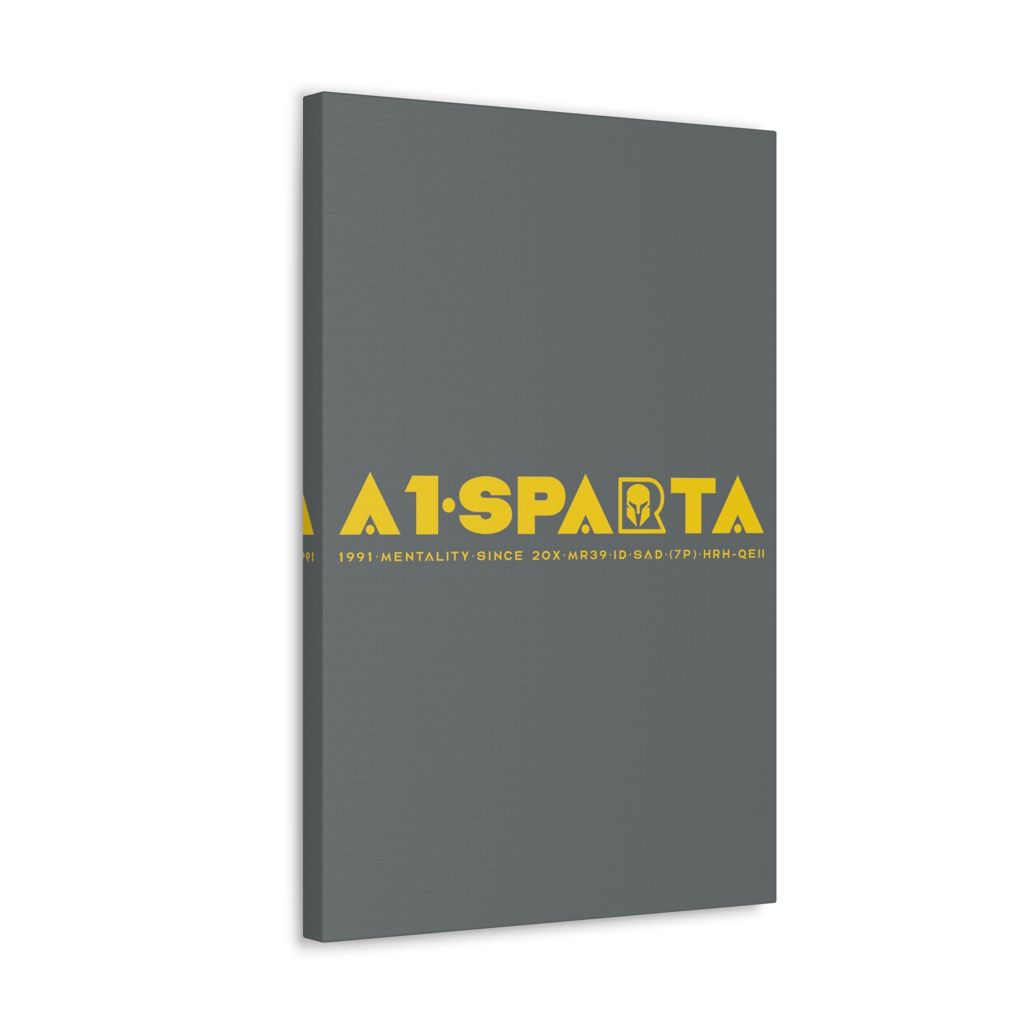 Canvas Gallery Wraps (A1•SPARTA RANGE)
