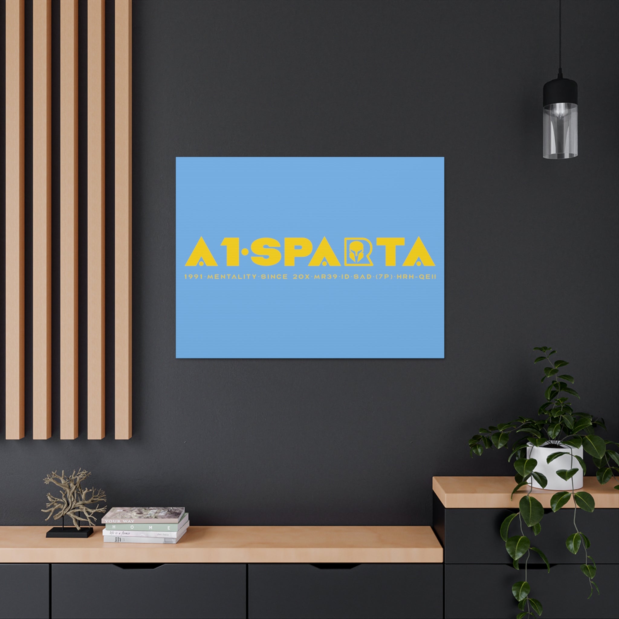 Canvas Gallery Wraps (A1•SPARTA RANGE)