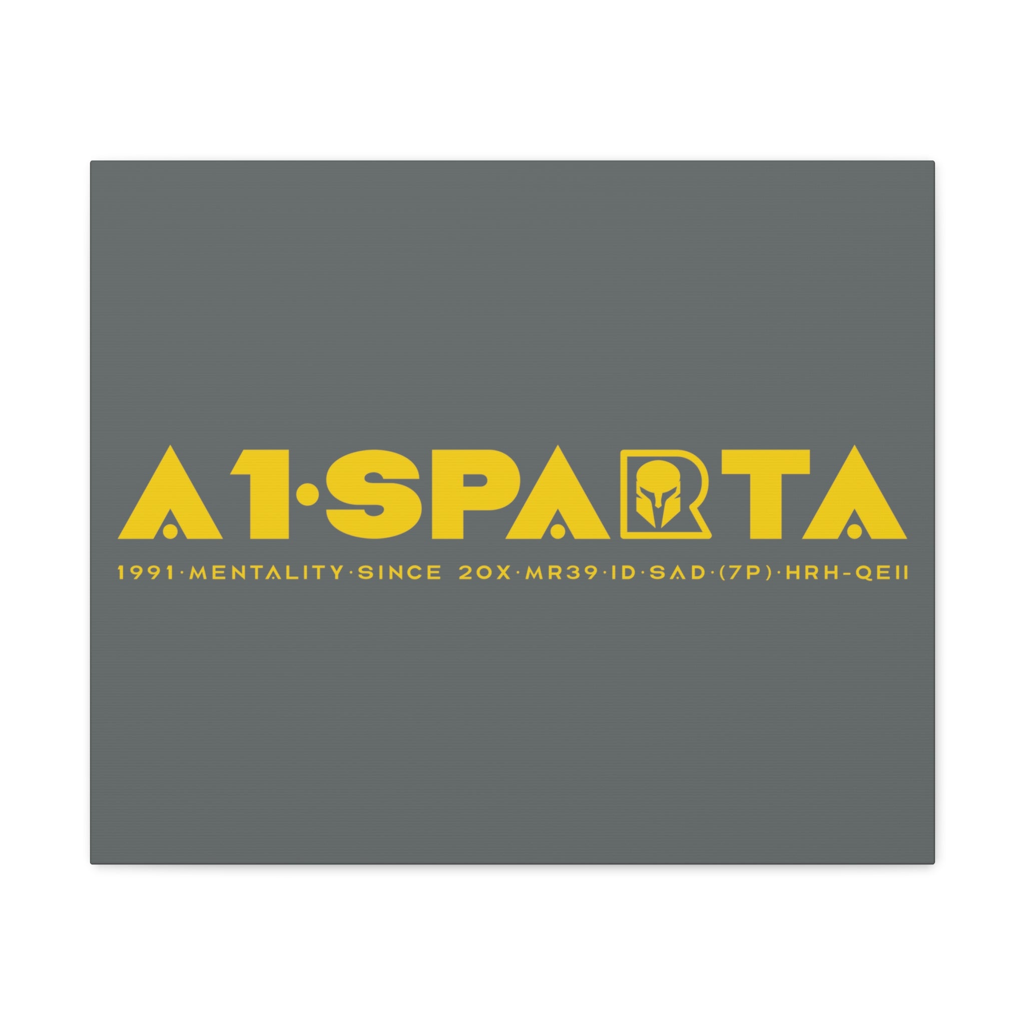 Canvas Gallery Wraps (A1•SPARTA RANGE)