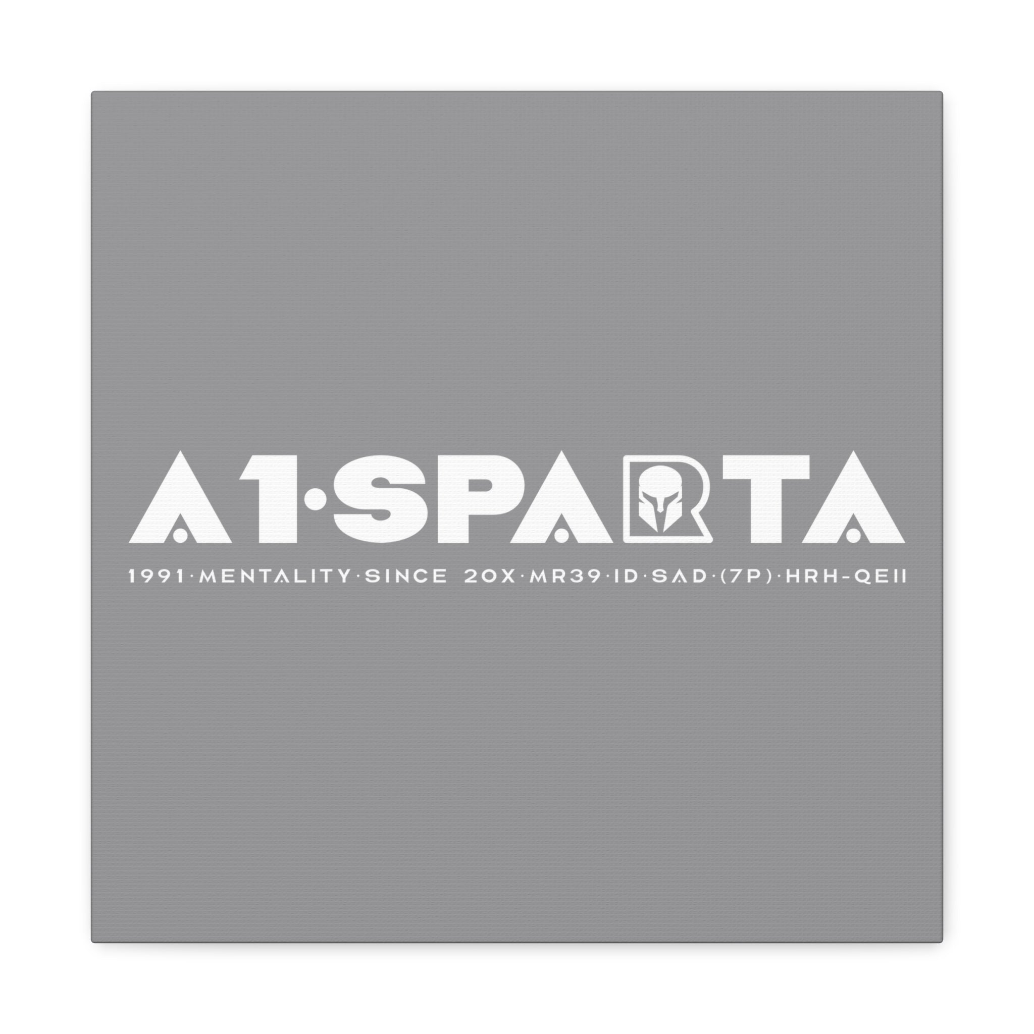 Canvas Gallery Wraps (A1•SPARTA RANGE)