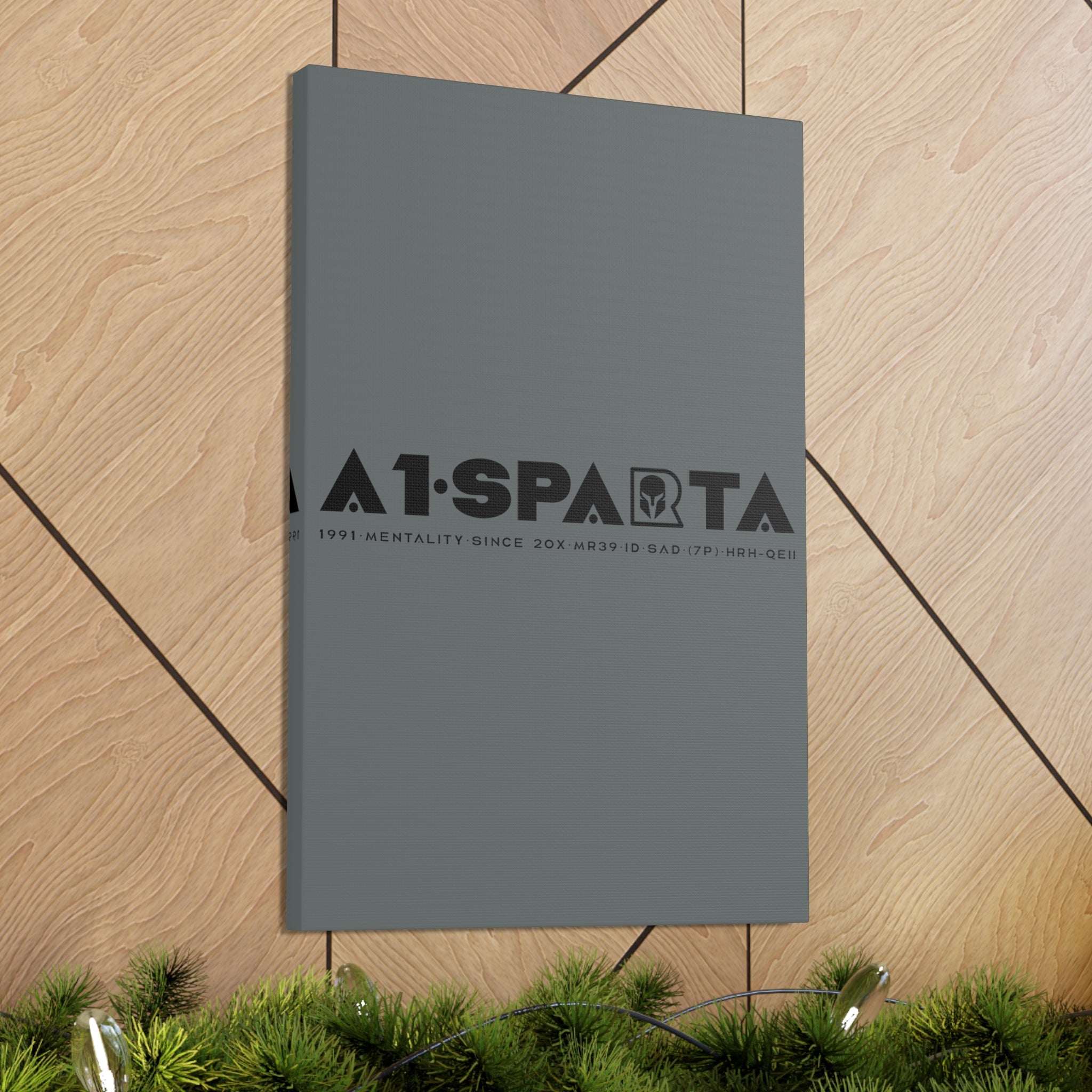 Canvas Gallery Wraps (A1•SPARTA RANGE)
