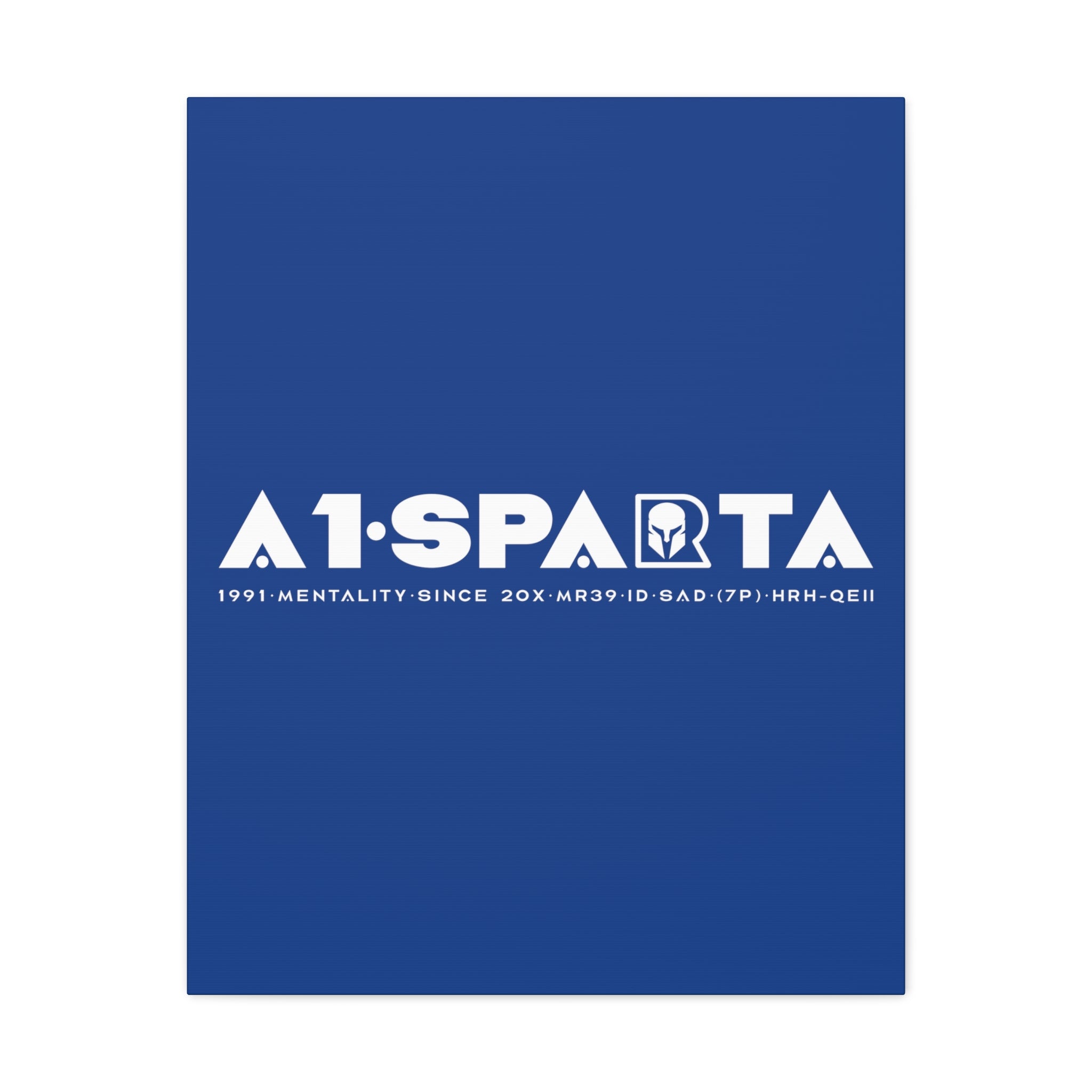 Canvas Gallery Wraps (A1•SPARTA RANGE)