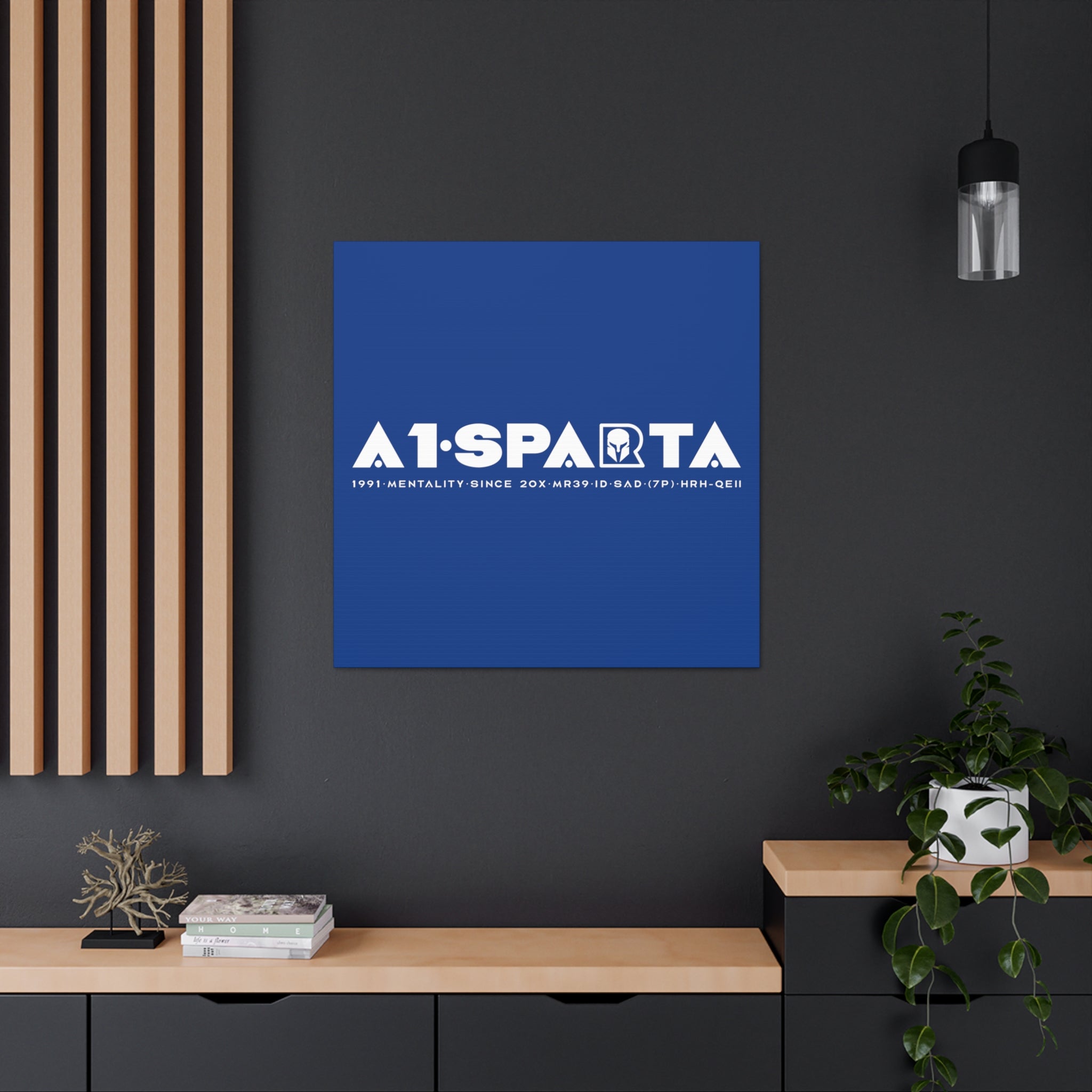 Canvas Gallery Wraps (A1•SPARTA RANGE)