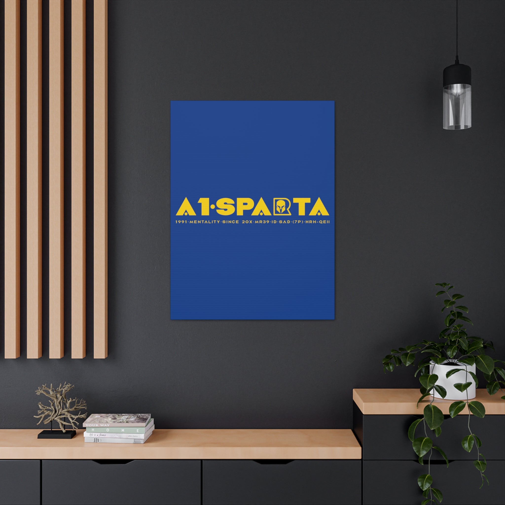 Canvas Gallery Wraps (A1•SPARTA RANGE)