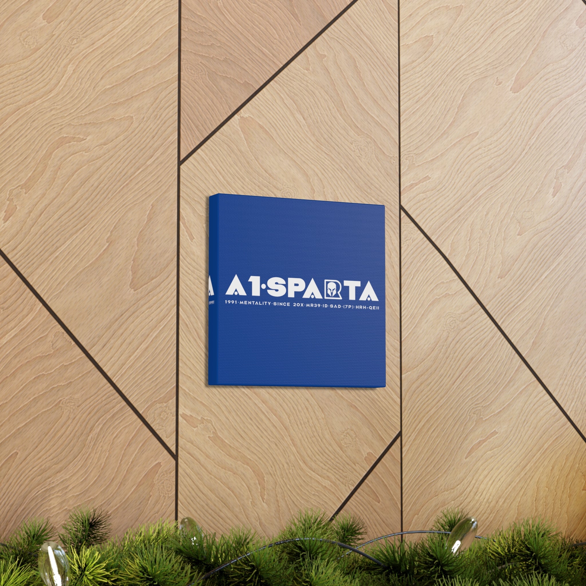 Canvas Gallery Wraps (A1•SPARTA RANGE)