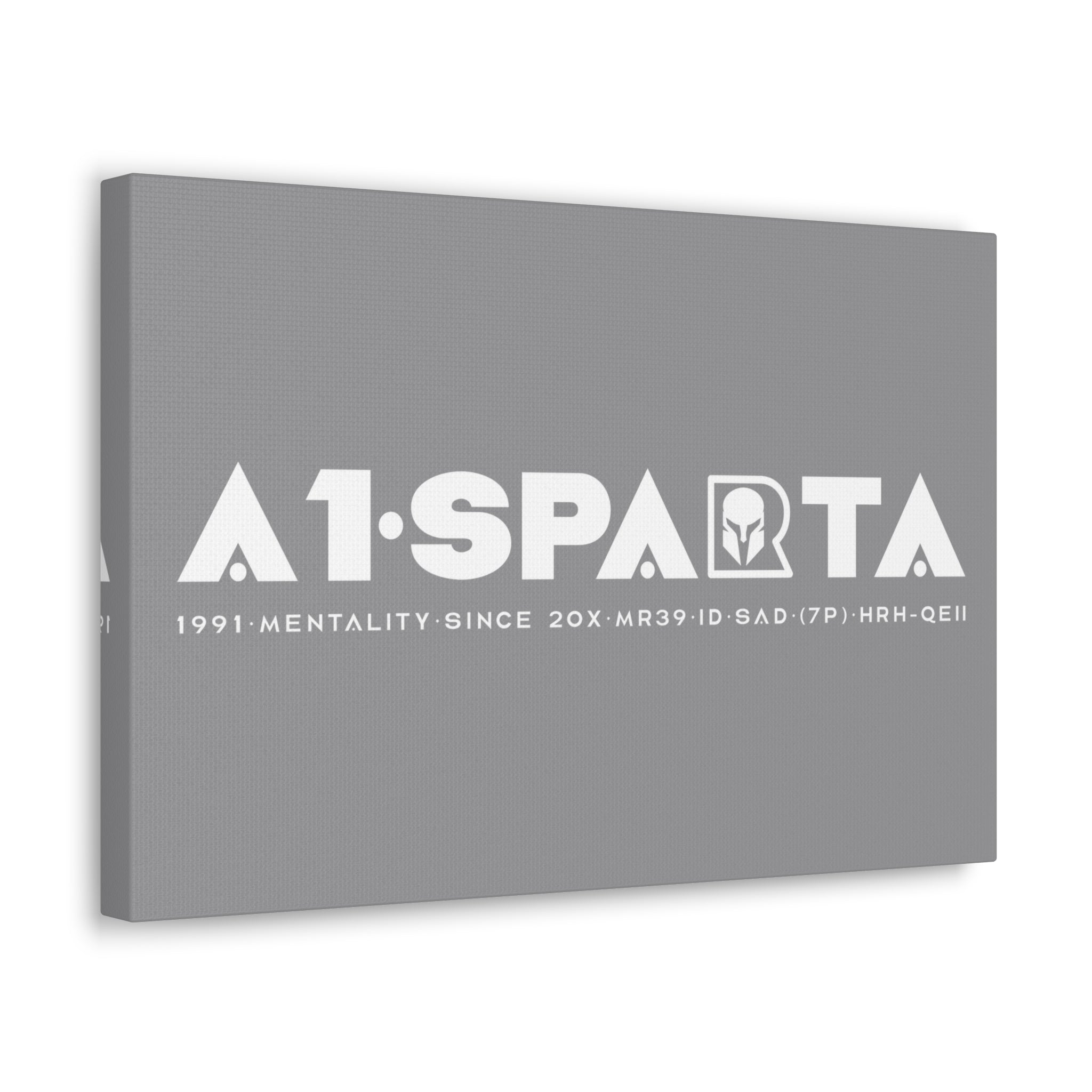 Canvas Gallery Wraps (A1•SPARTA RANGE)