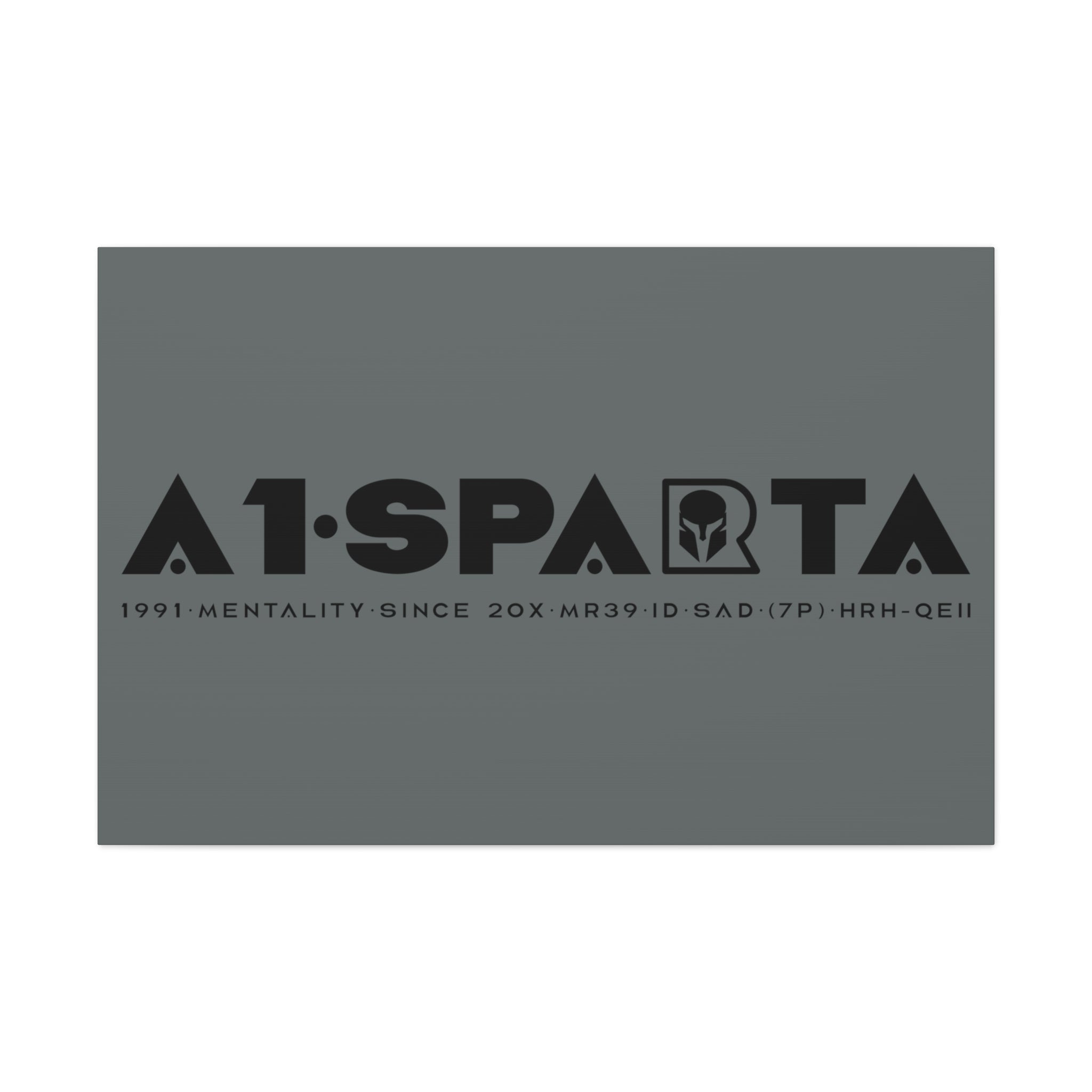 Canvas Gallery Wraps (A1•SPARTA RANGE)