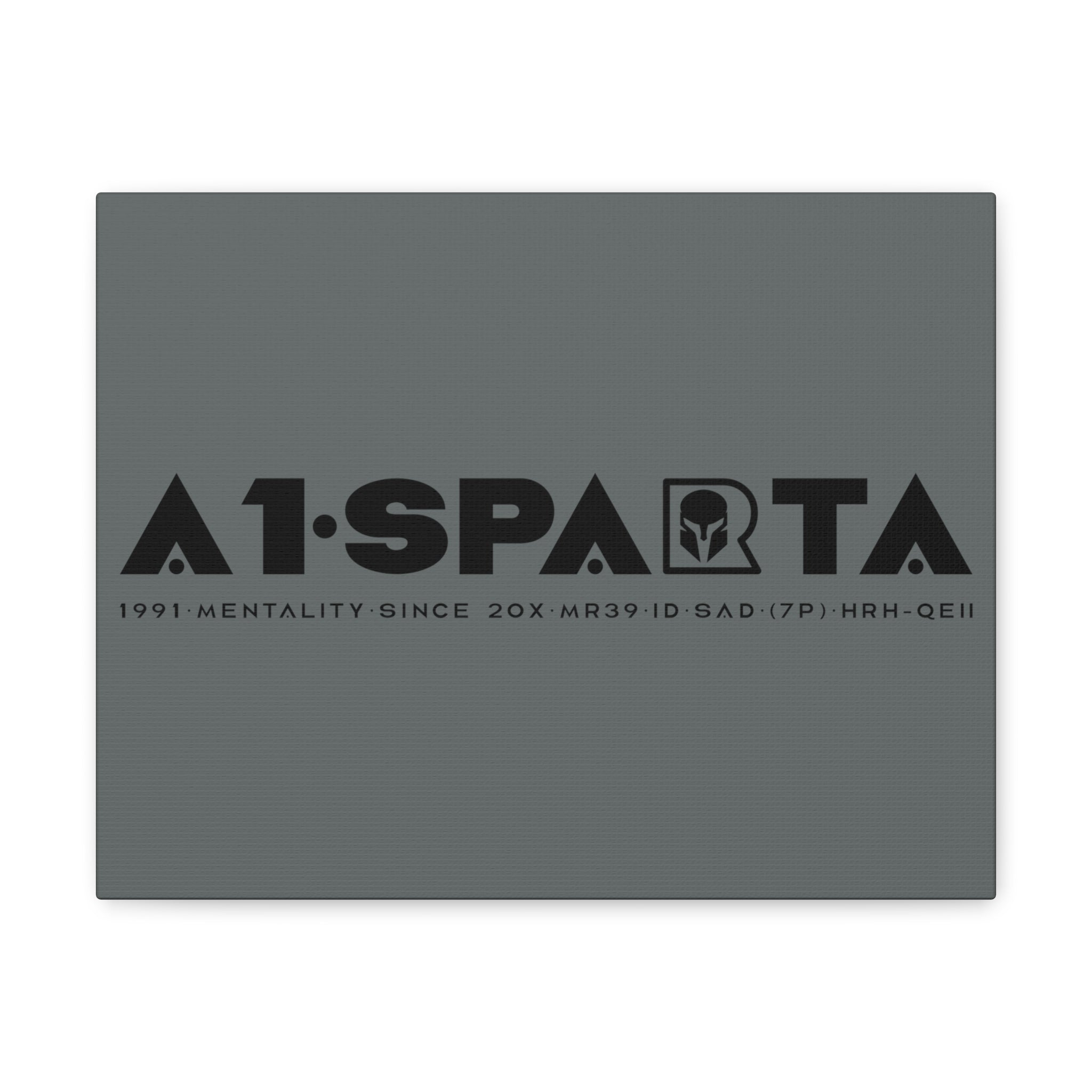 Canvas Gallery Wraps (A1•SPARTA RANGE)