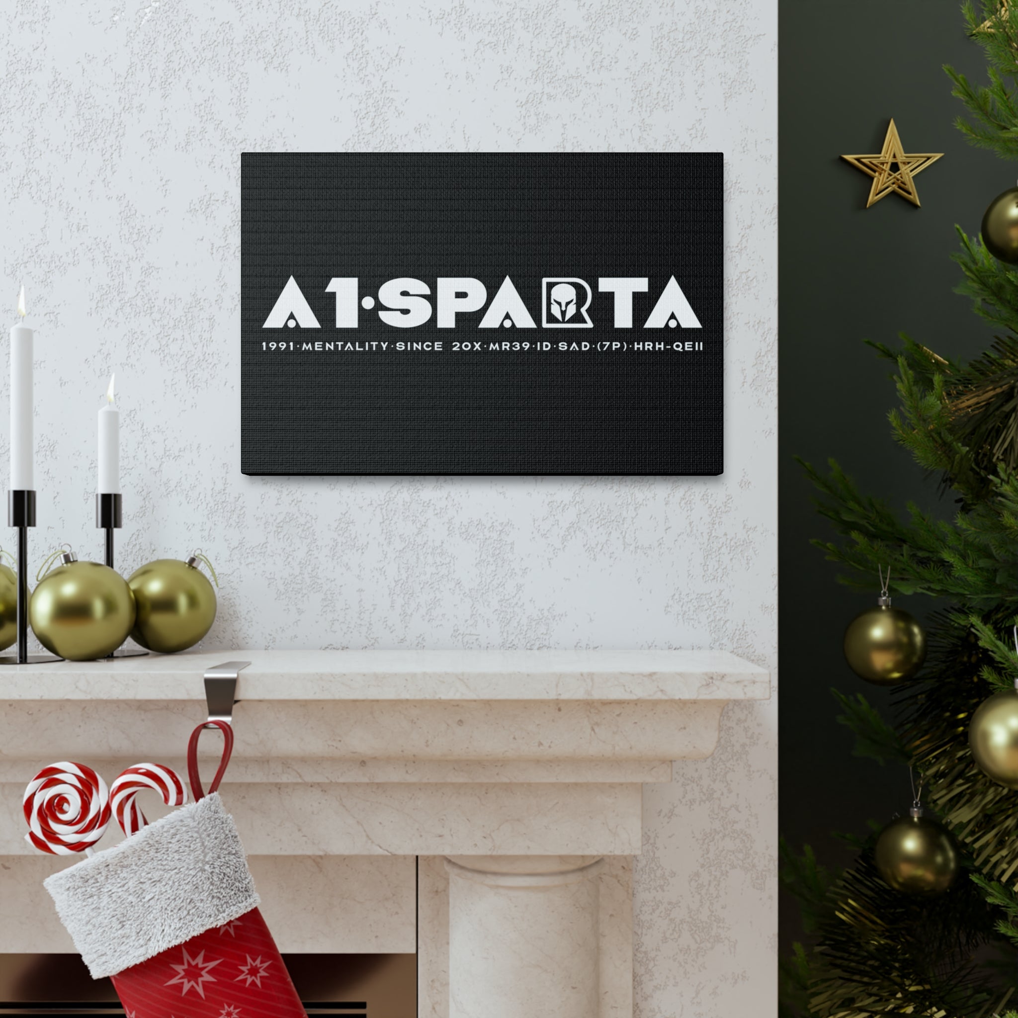 Canvas Gallery Wraps (A1•SPARTA RANGE)