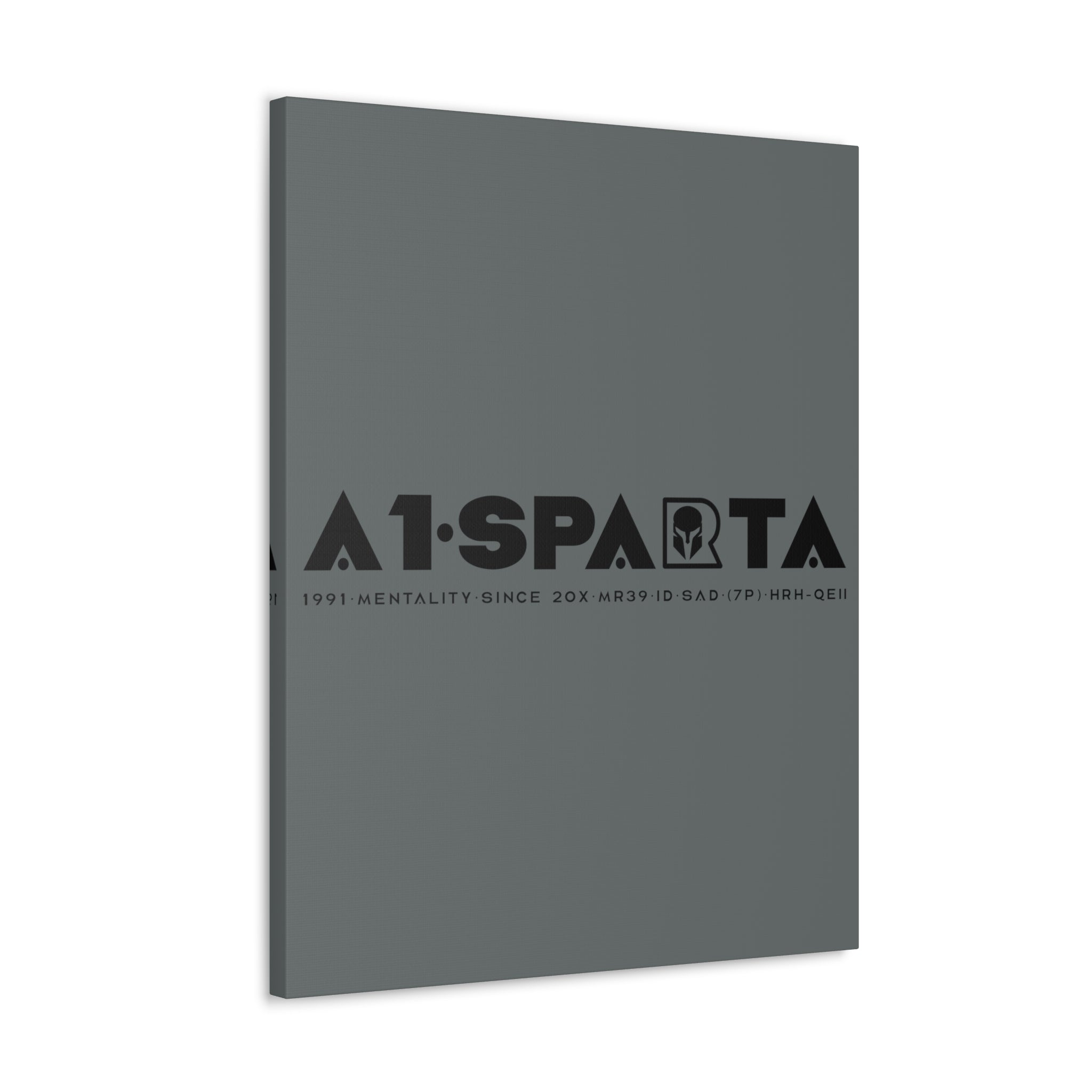 Canvas Gallery Wraps (A1•SPARTA RANGE)