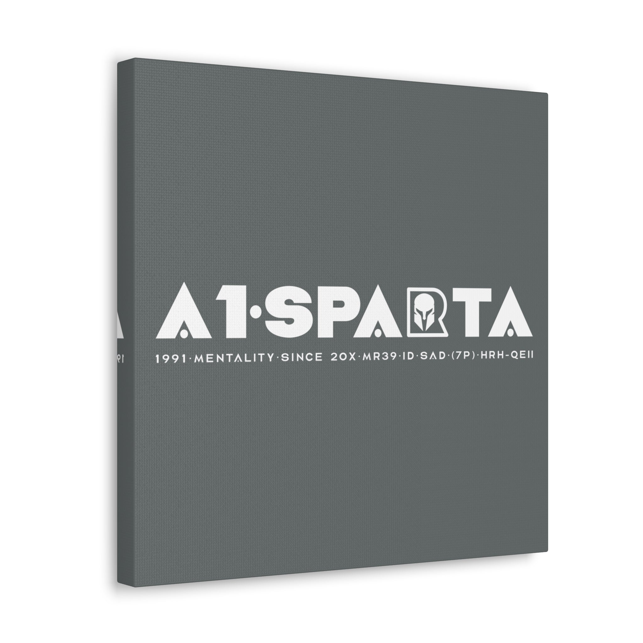 Canvas Gallery Wraps (A1•SPARTA RANGE)