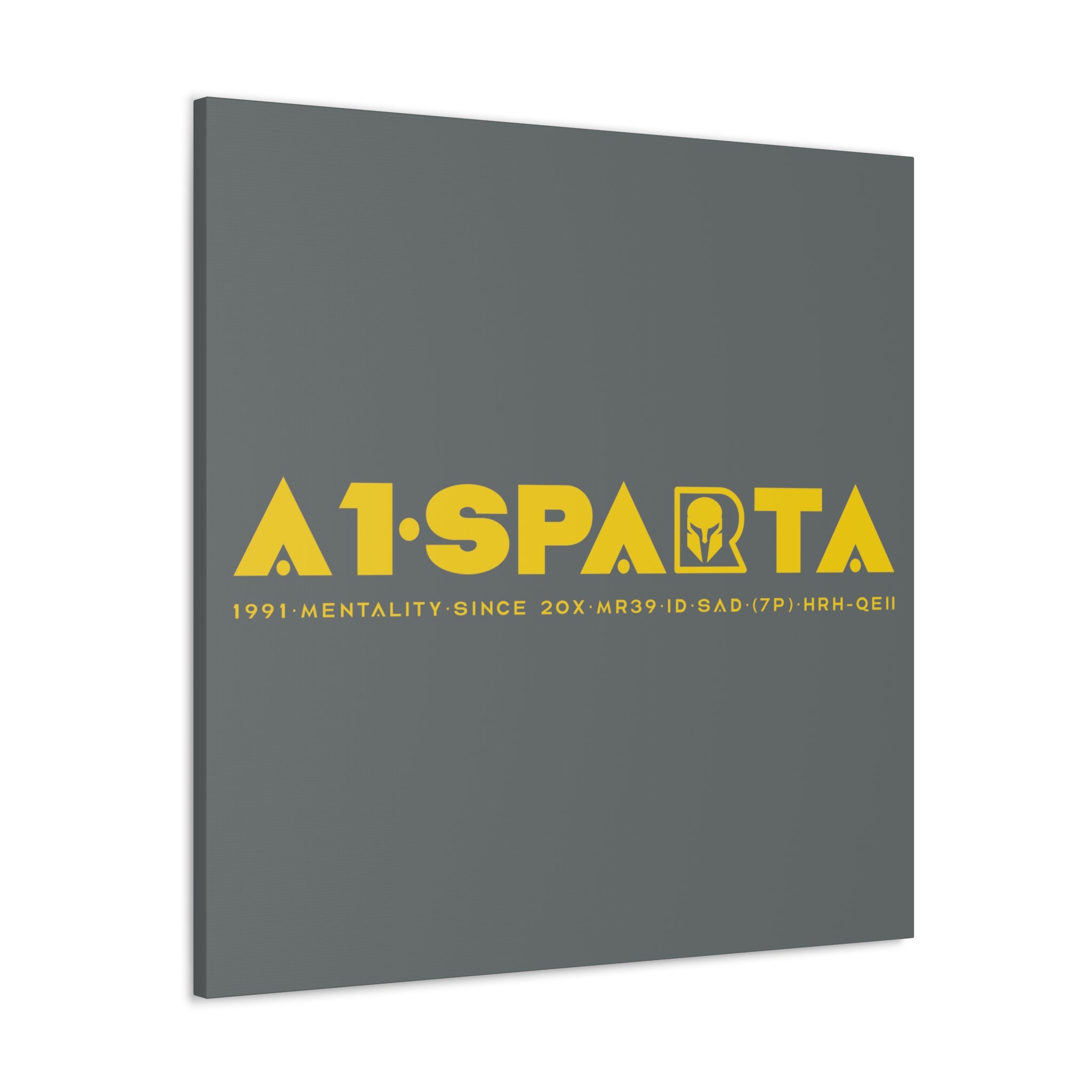 Canvas Gallery Wraps (A1•SPARTA RANGE)