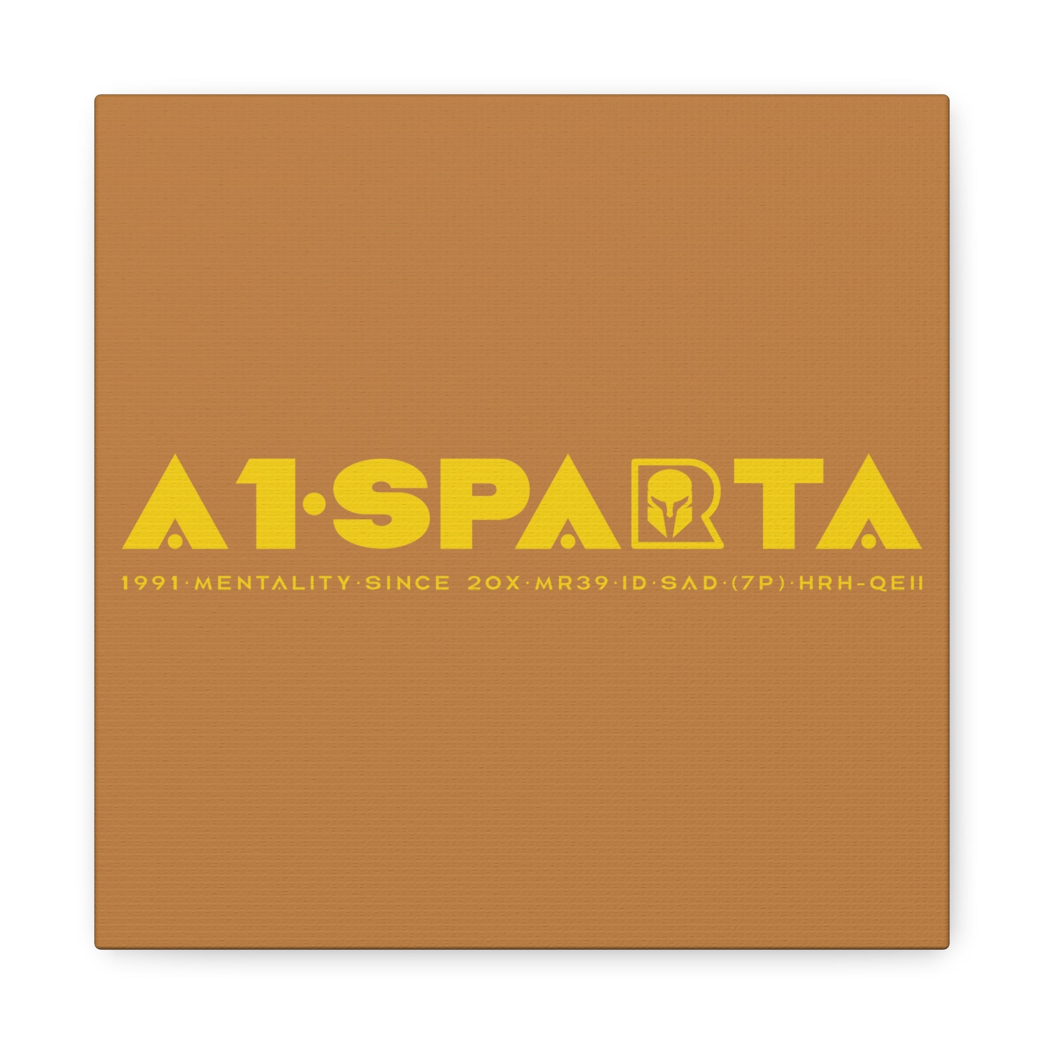 Canvas Gallery Wraps (A1•SPARTA RANGE)