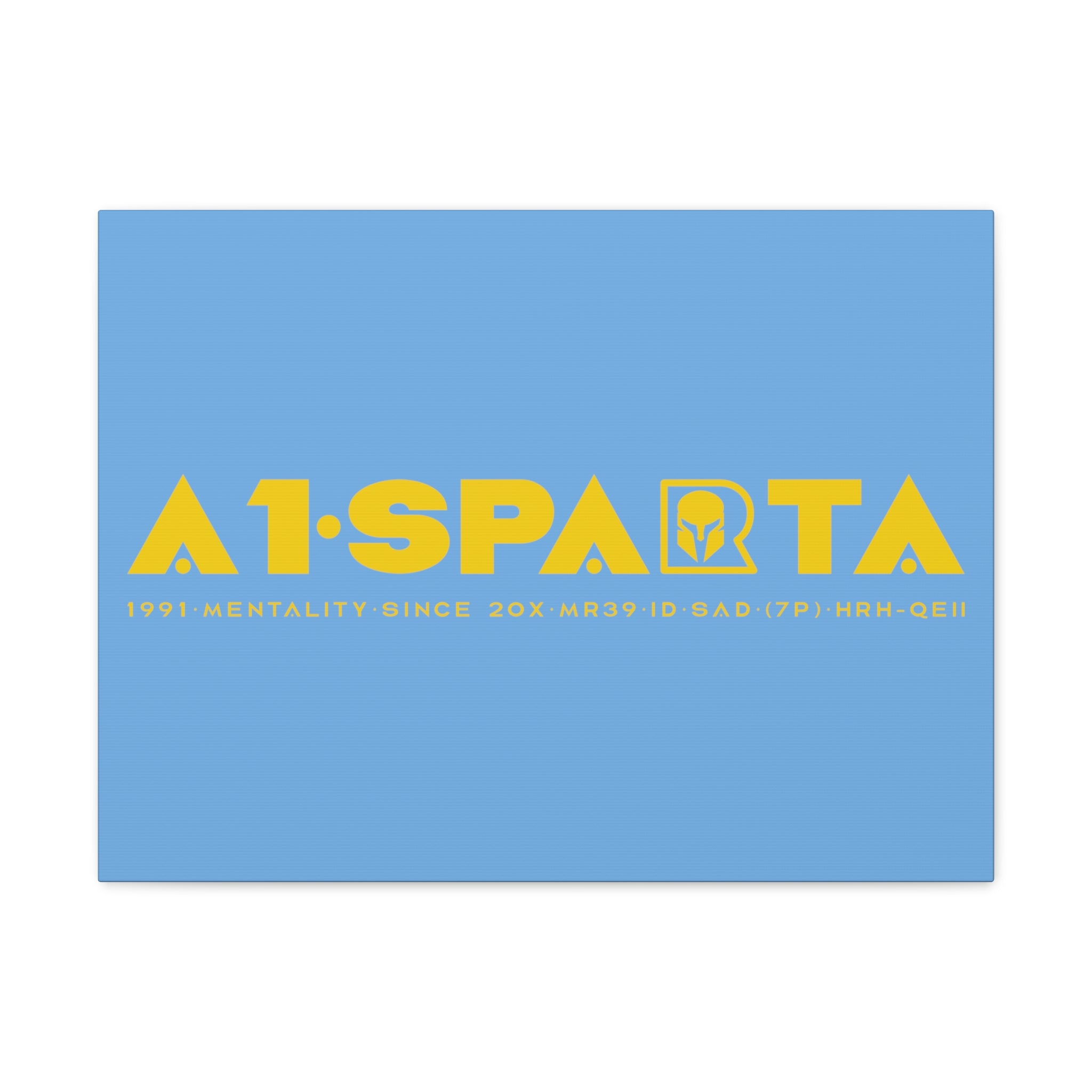 Canvas Gallery Wraps (A1•SPARTA RANGE)