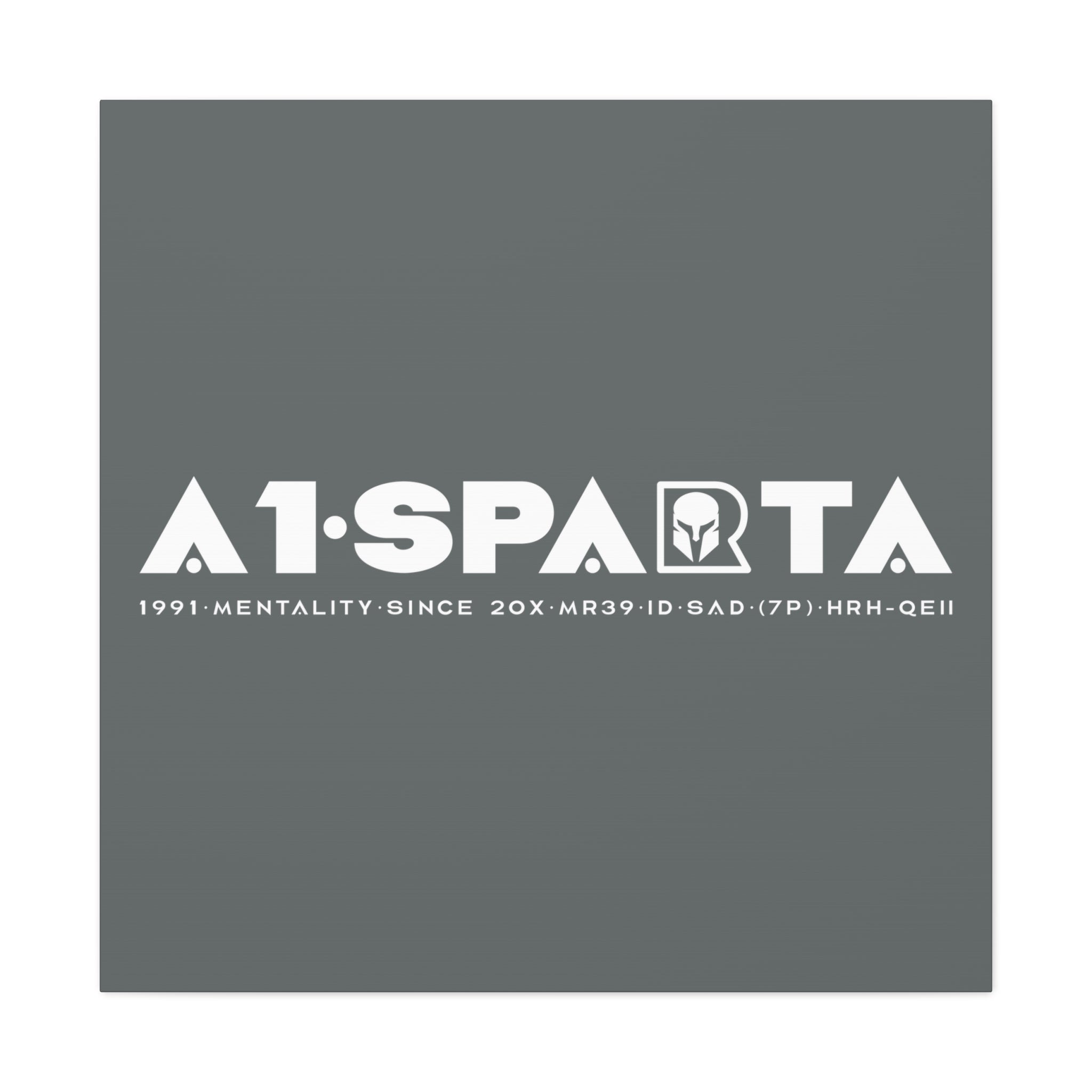 Canvas Gallery Wraps (A1•SPARTA RANGE)