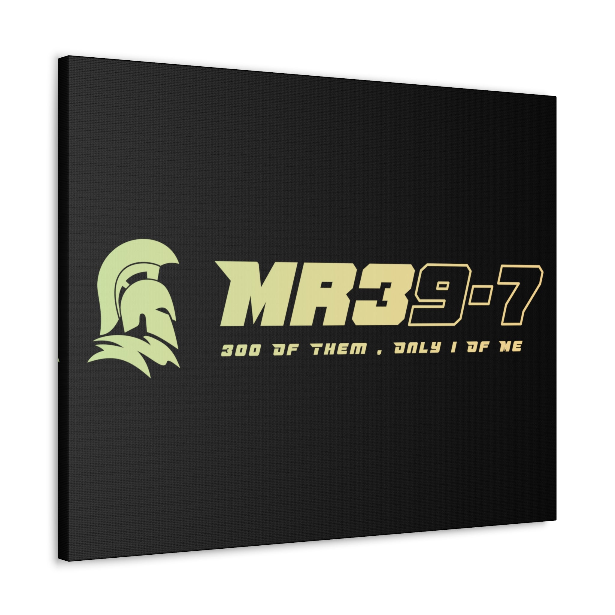 Canvas Gallery Wraps (A1•SPARTA RANGE)