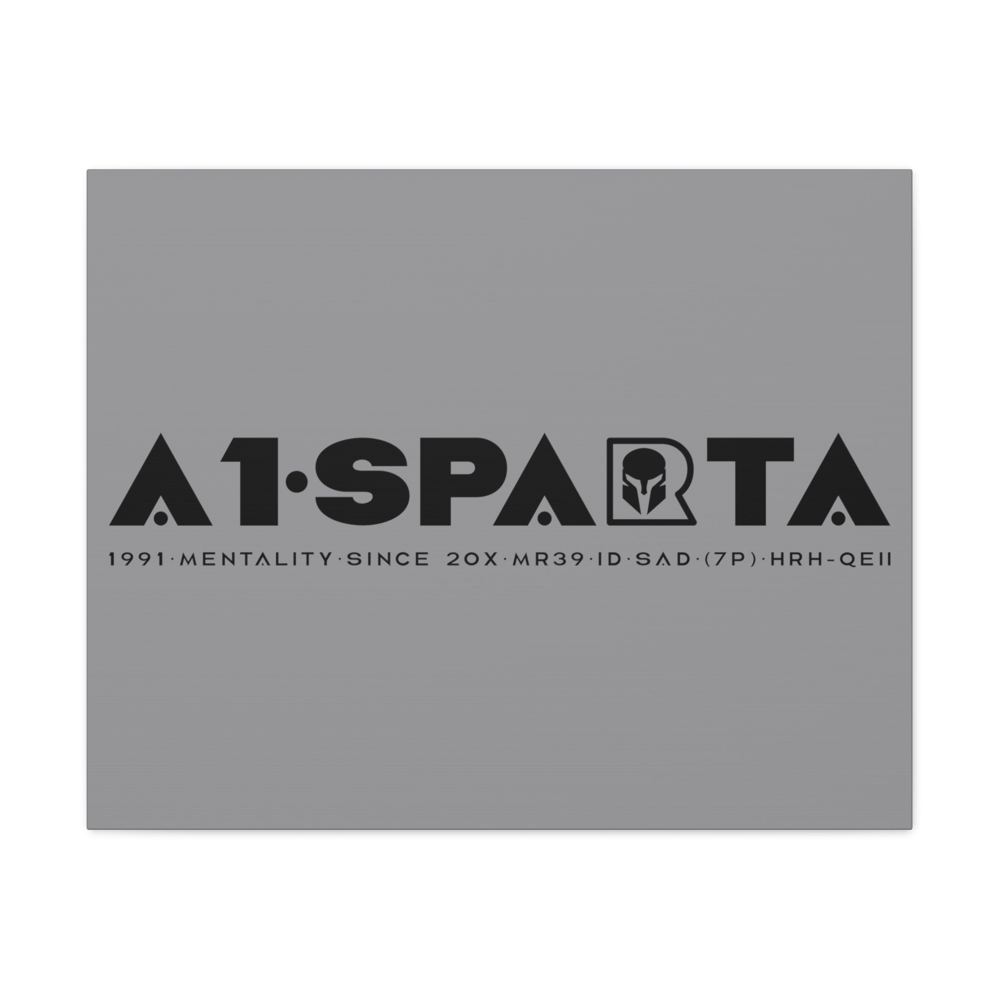 Canvas Gallery Wraps (A1•SPARTA RANGE)