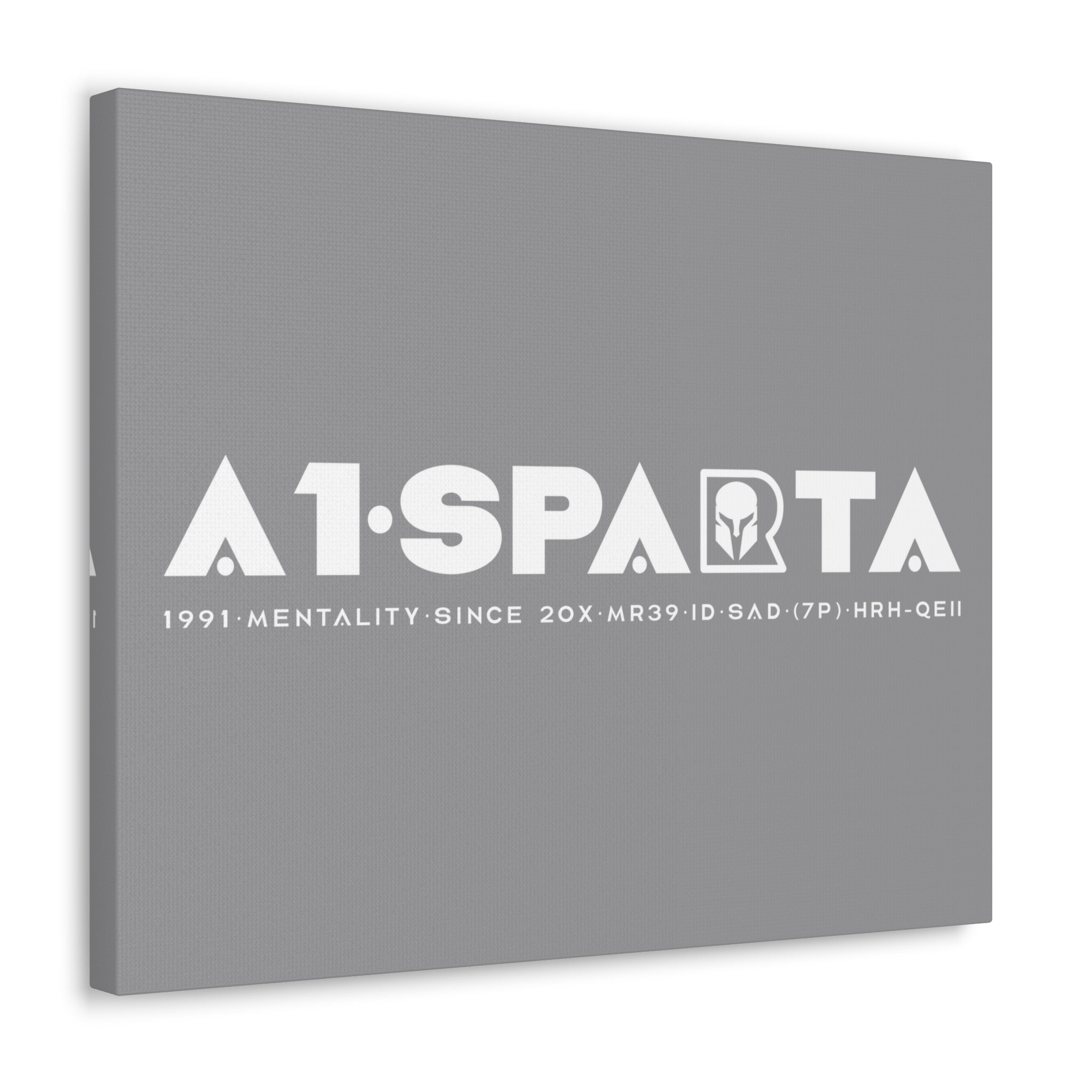 Canvas Gallery Wraps (A1•SPARTA RANGE)