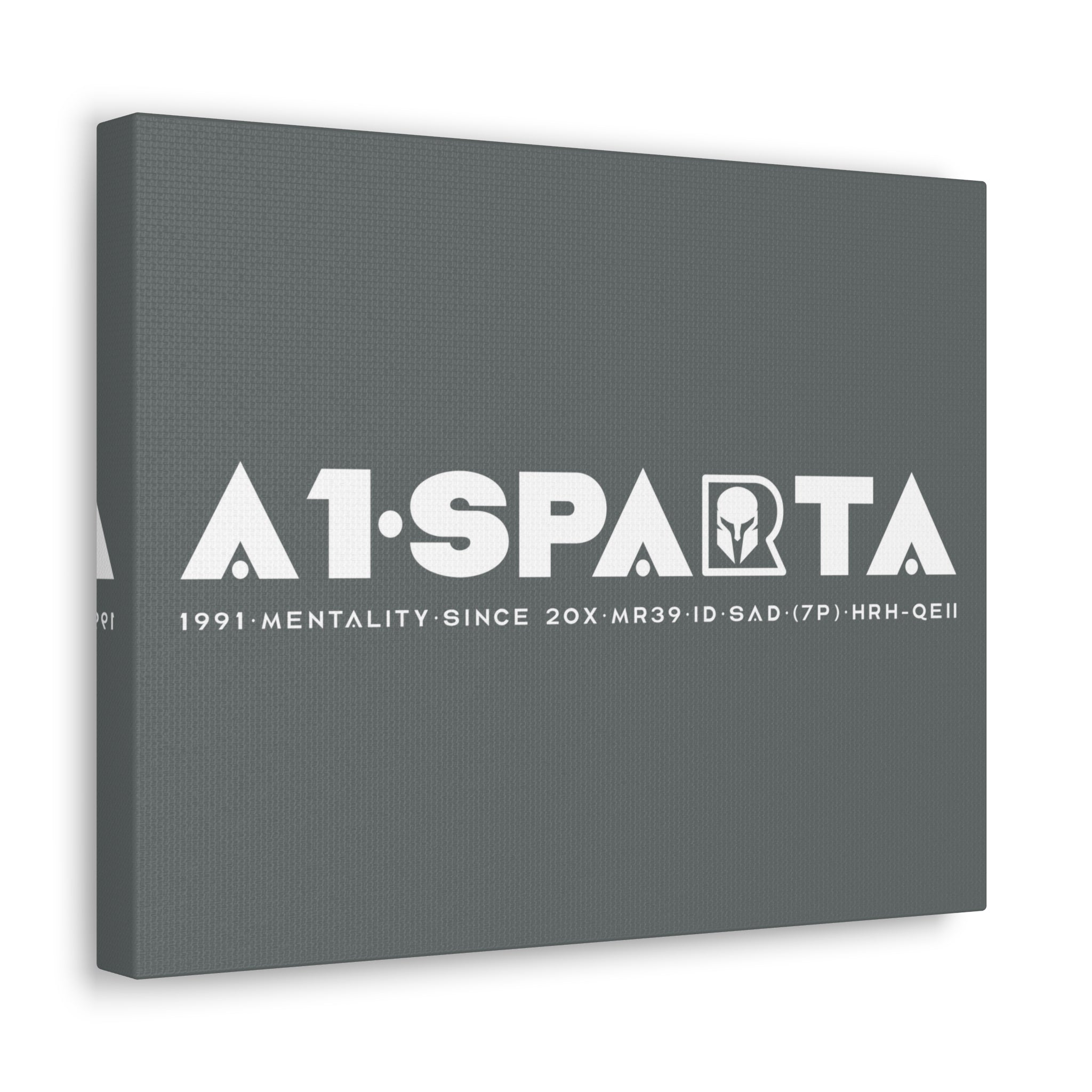 Canvas Gallery Wraps (A1•SPARTA RANGE)