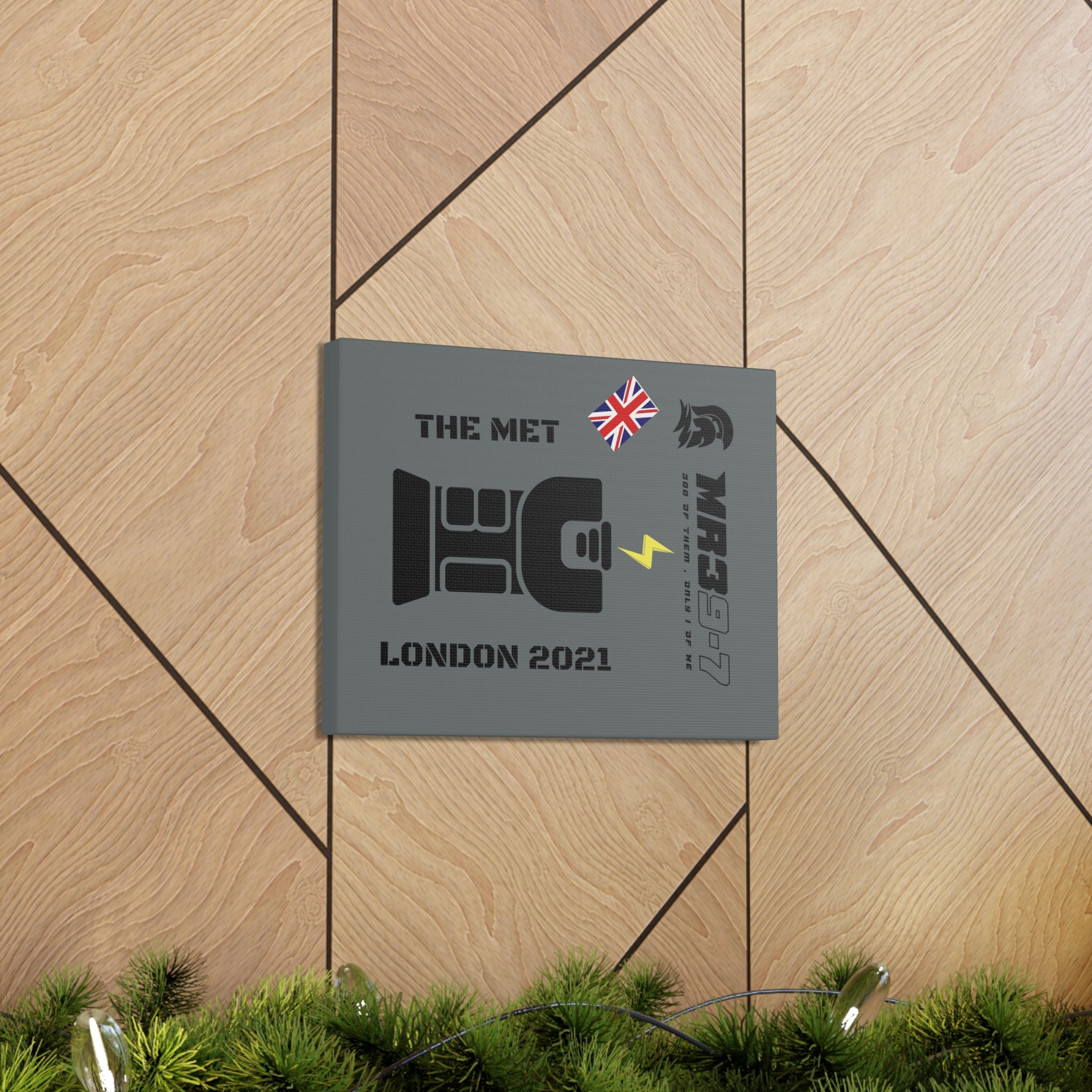 Canvas Gallery Wraps MR 39 Tasered by The MET 2021