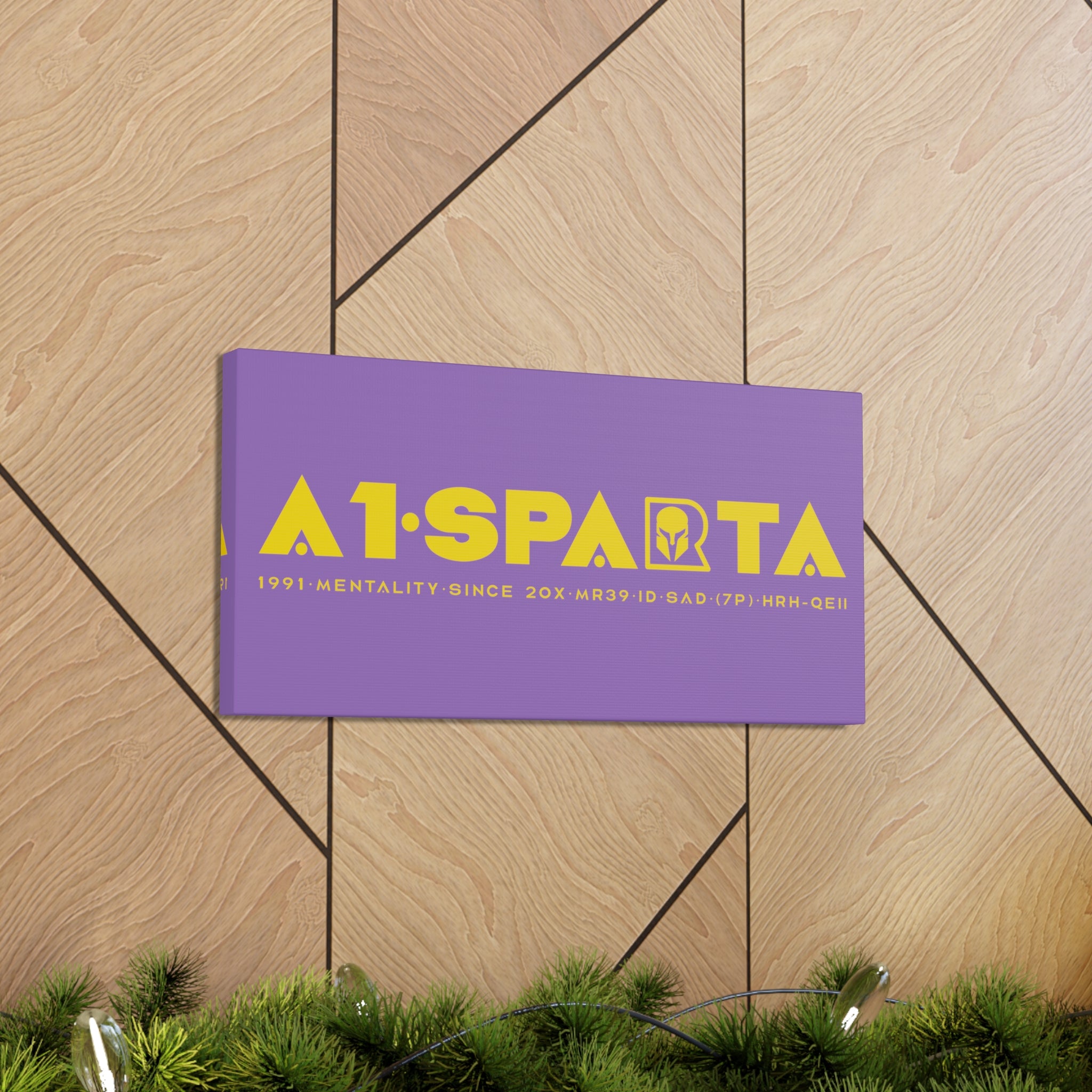 Canvas Gallery Wraps (A1•SPARTA RANGE)