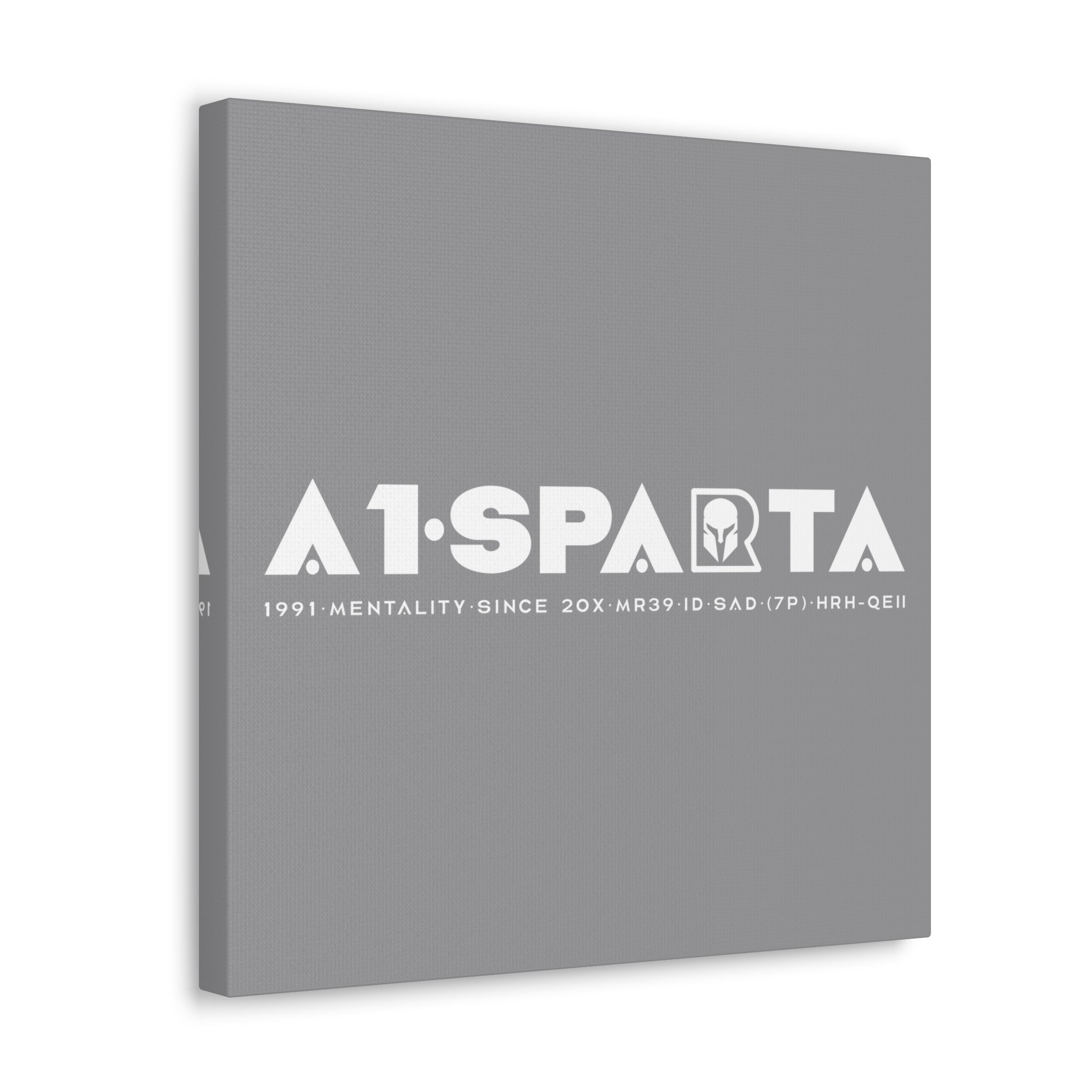 Canvas Gallery Wraps (A1•SPARTA RANGE)