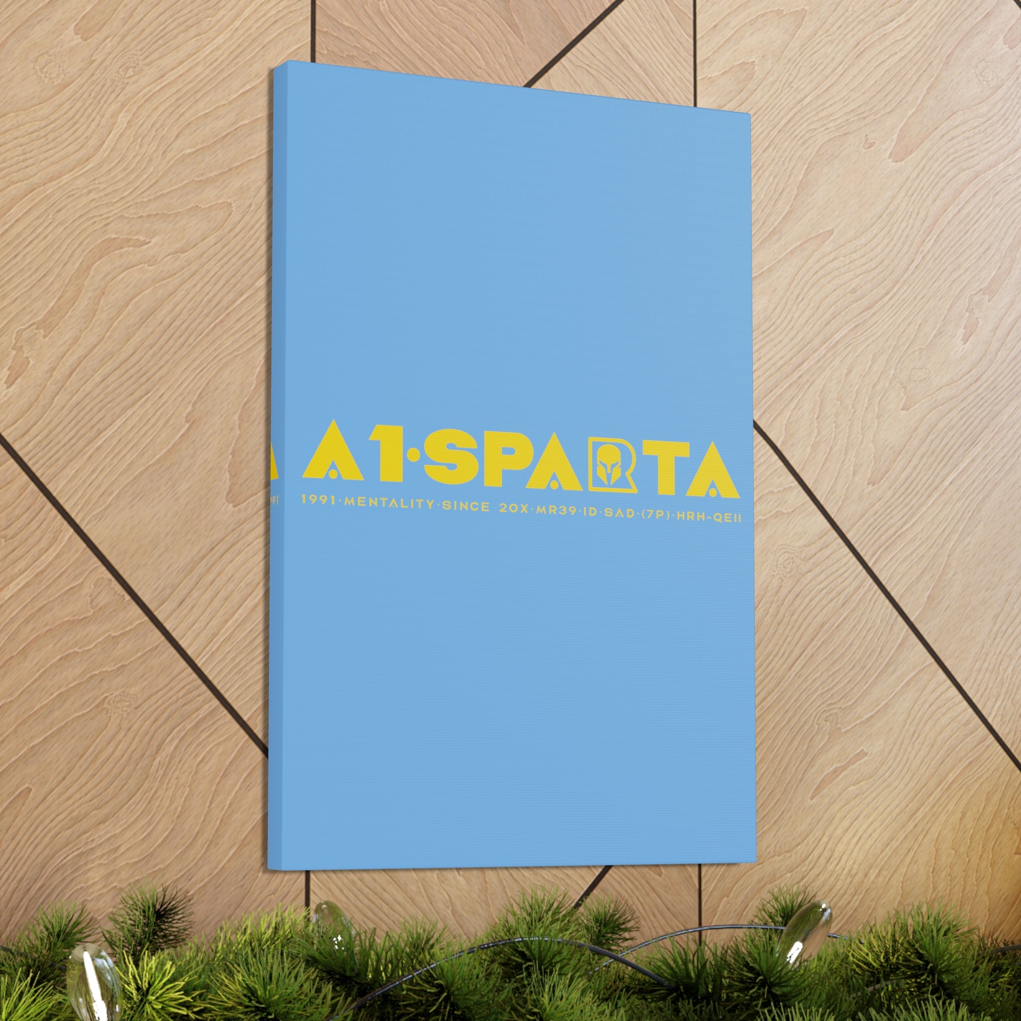 Canvas Gallery Wraps (A1•SPARTA RANGE)