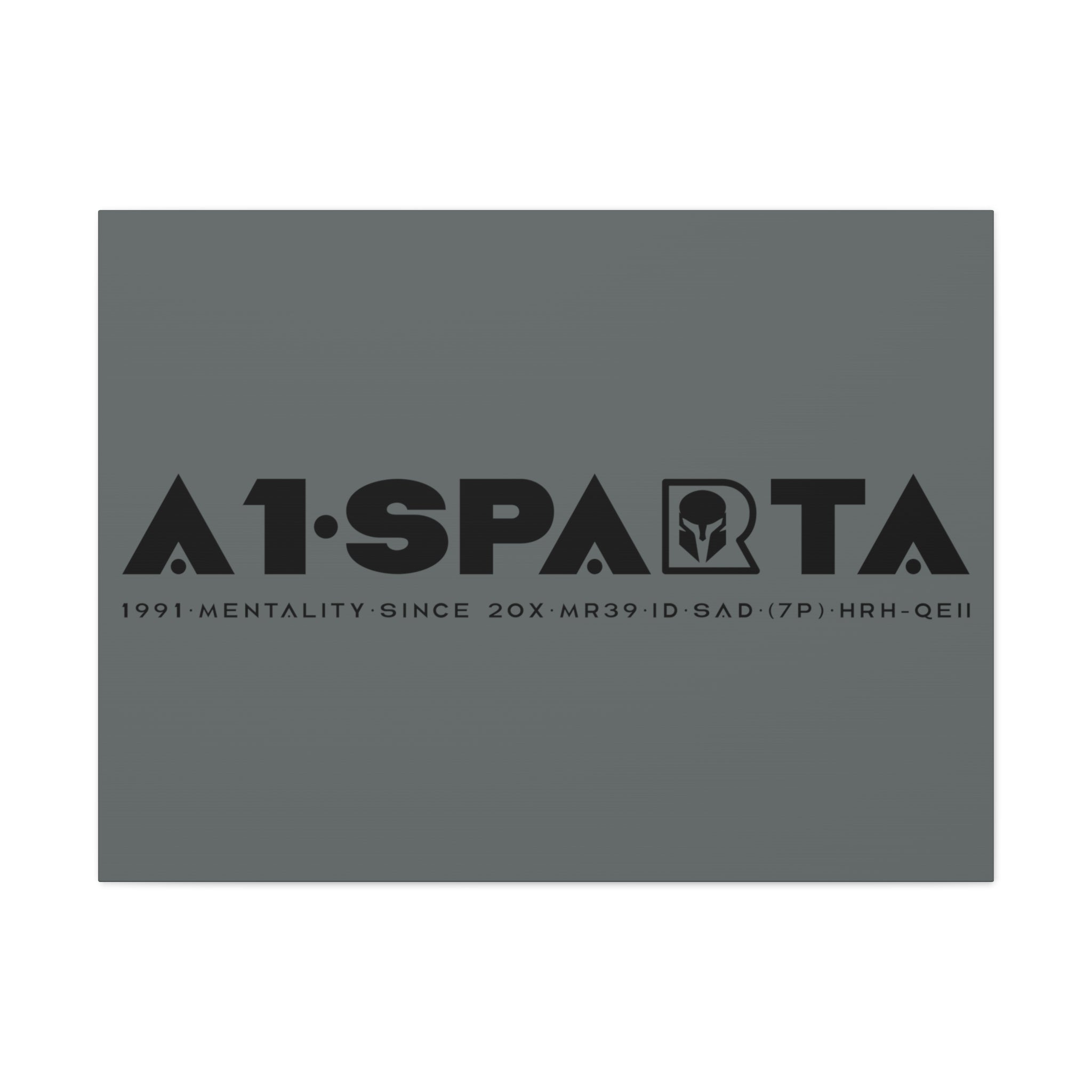 Canvas Gallery Wraps (A1•SPARTA RANGE)