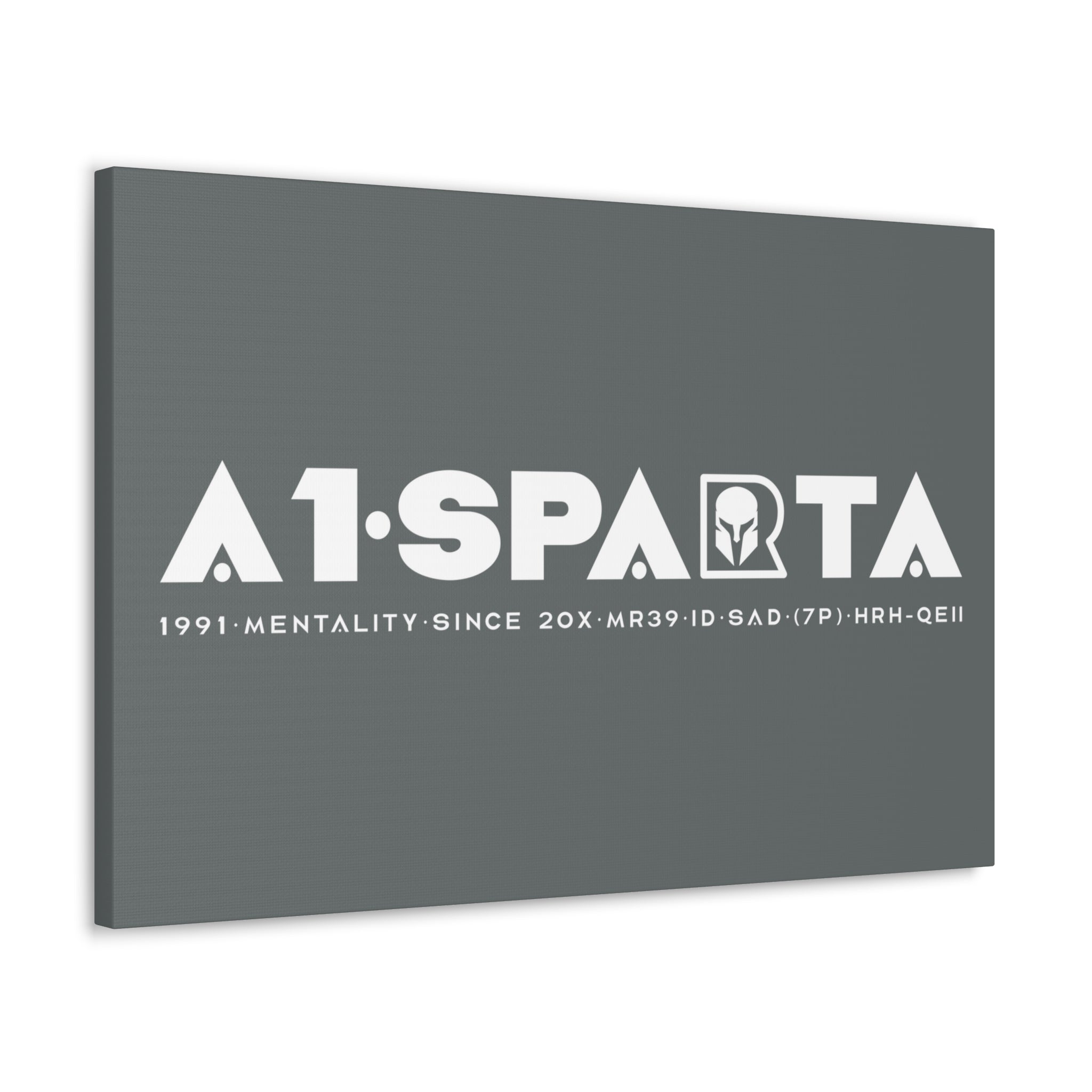 Canvas Gallery Wraps (A1•SPARTA RANGE)