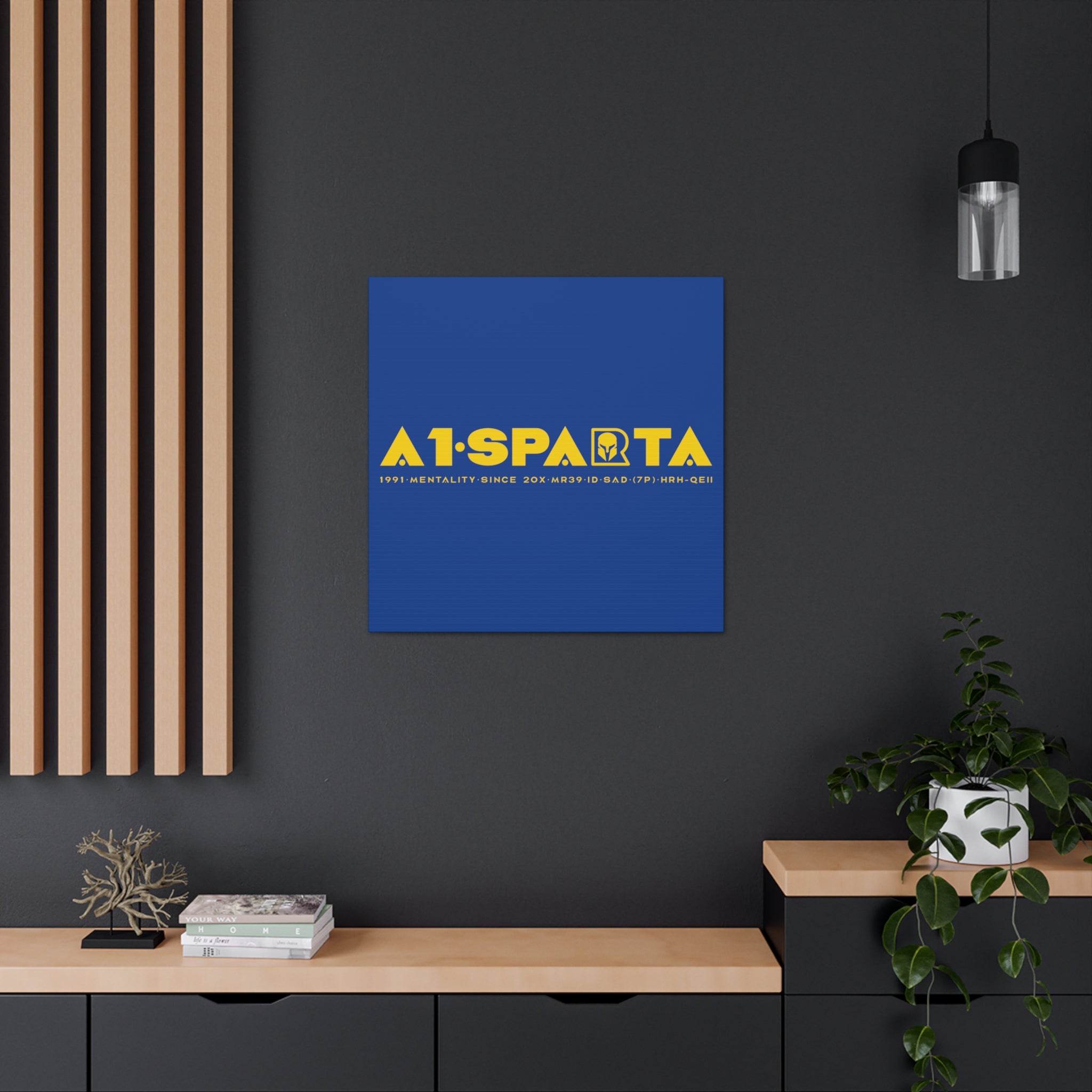 Canvas Gallery Wraps (A1•SPARTA RANGE)