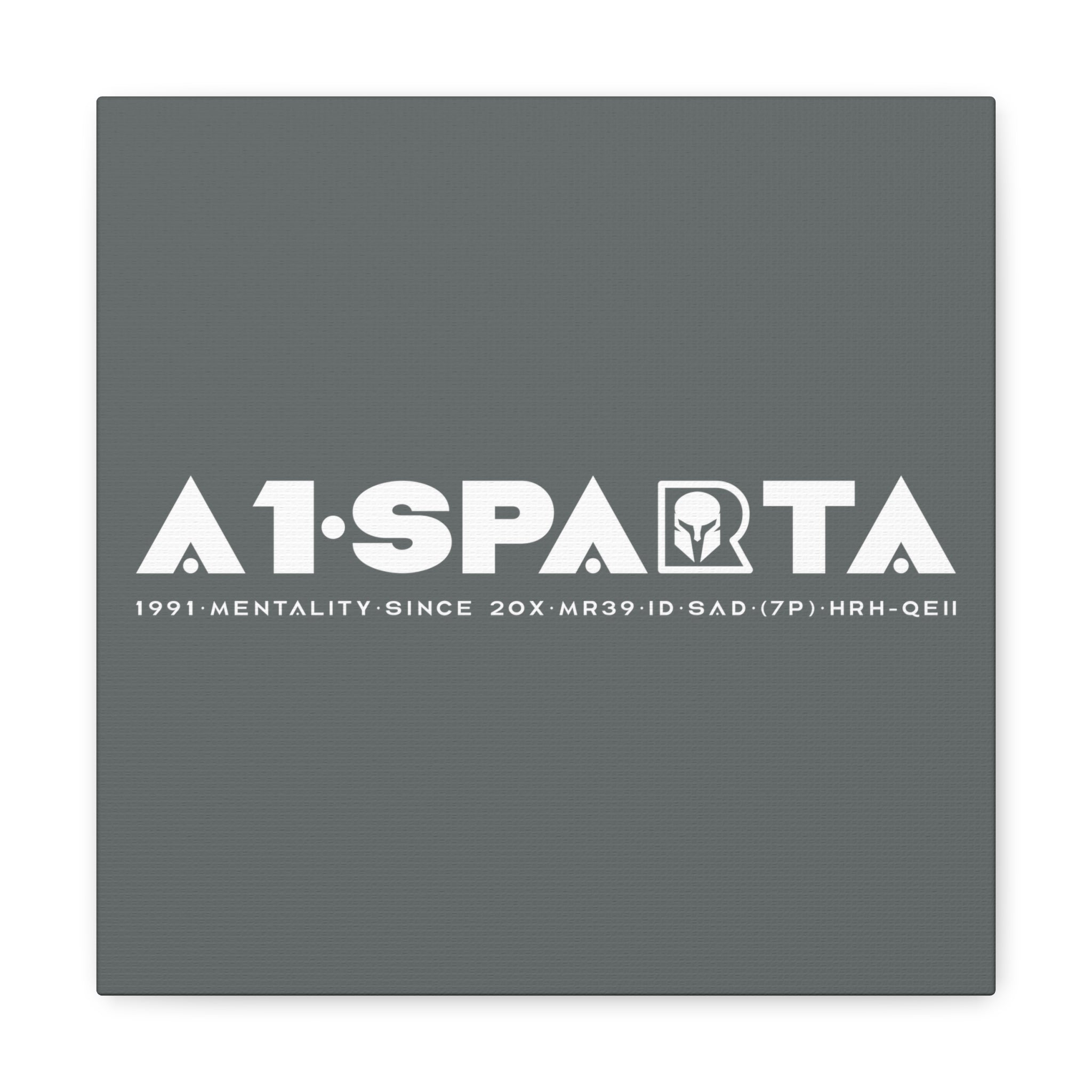 Canvas Gallery Wraps (A1•SPARTA RANGE)