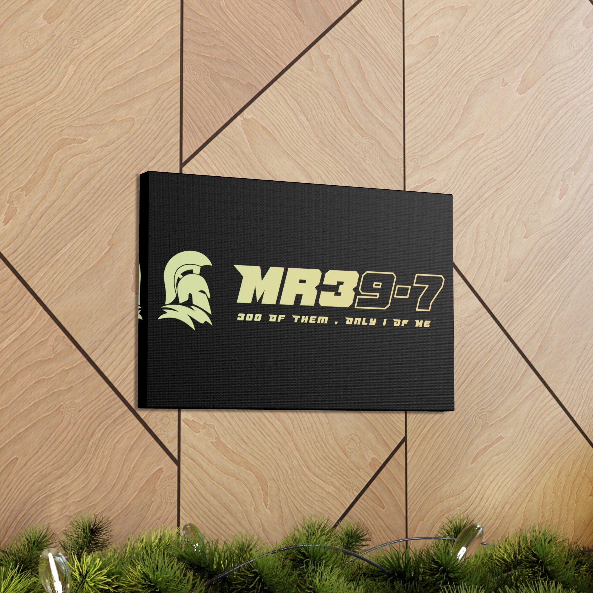 Canvas Gallery Wraps (A1•SPARTA RANGE)