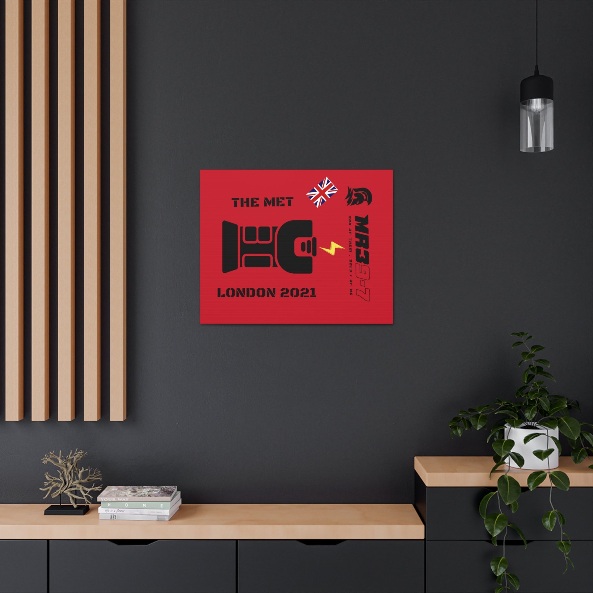 Canvas Gallery Wraps MR 39 Tasered by The MET 2021