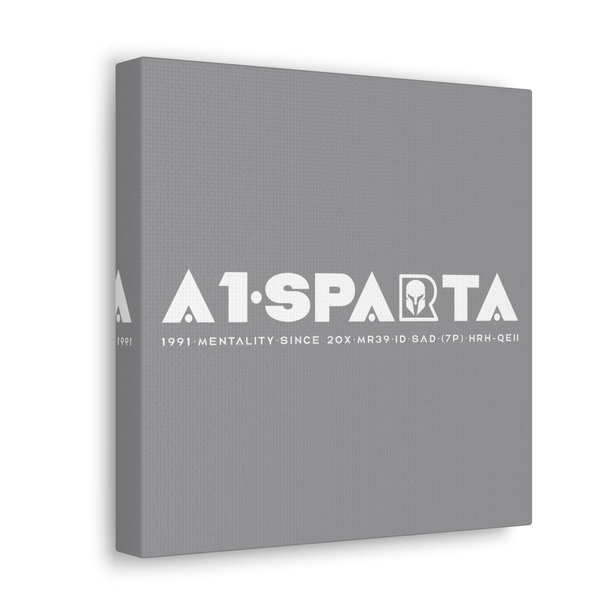 Canvas Gallery Wraps (A1•SPARTA RANGE)