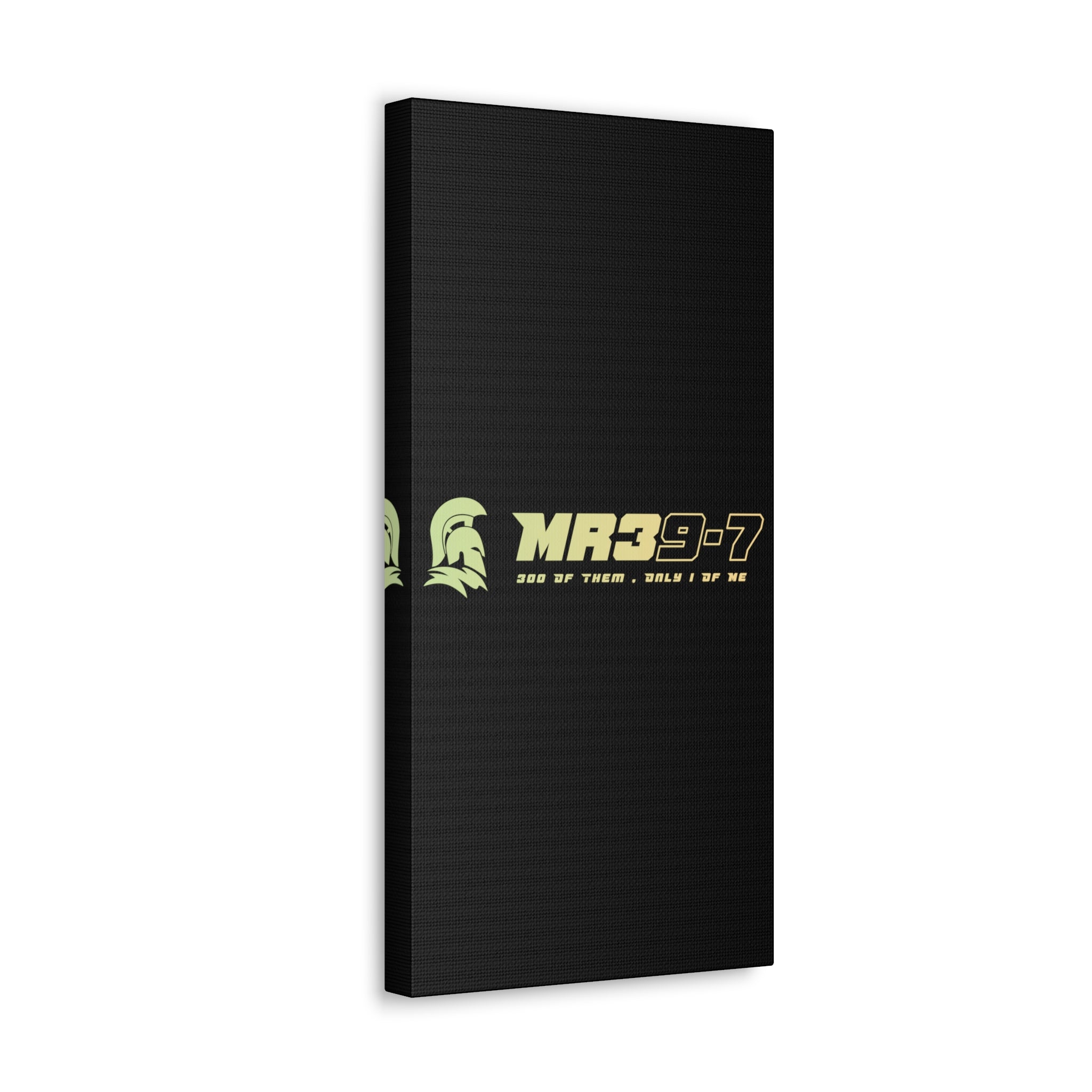 Canvas Gallery Wraps (A1•SPARTA RANGE)