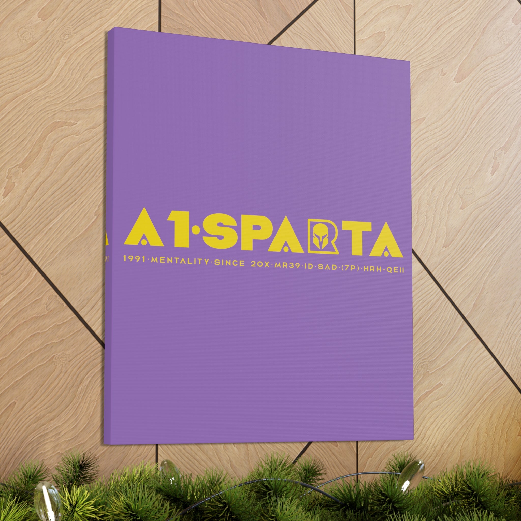 Canvas Gallery Wraps (A1•SPARTA RANGE)