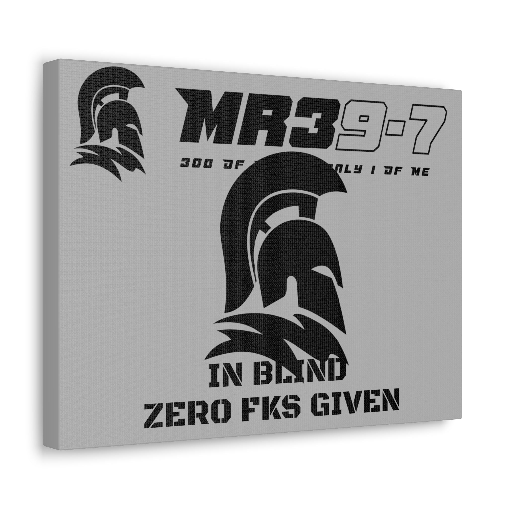 AWDW Vigilante themed Canvas Gallery Wraps