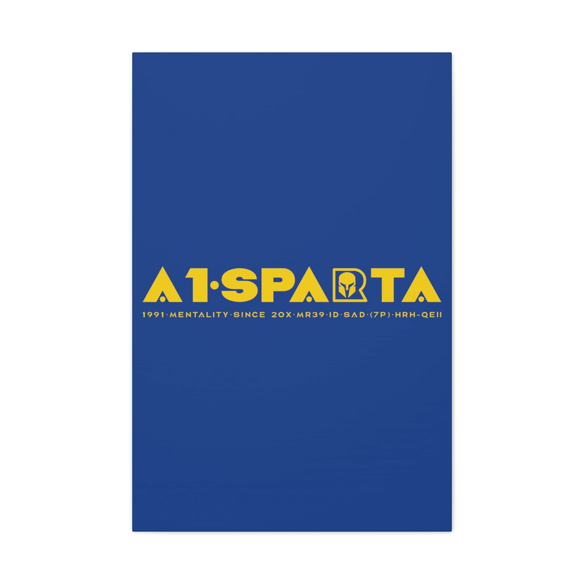 Canvas Gallery Wraps (A1•SPARTA RANGE)