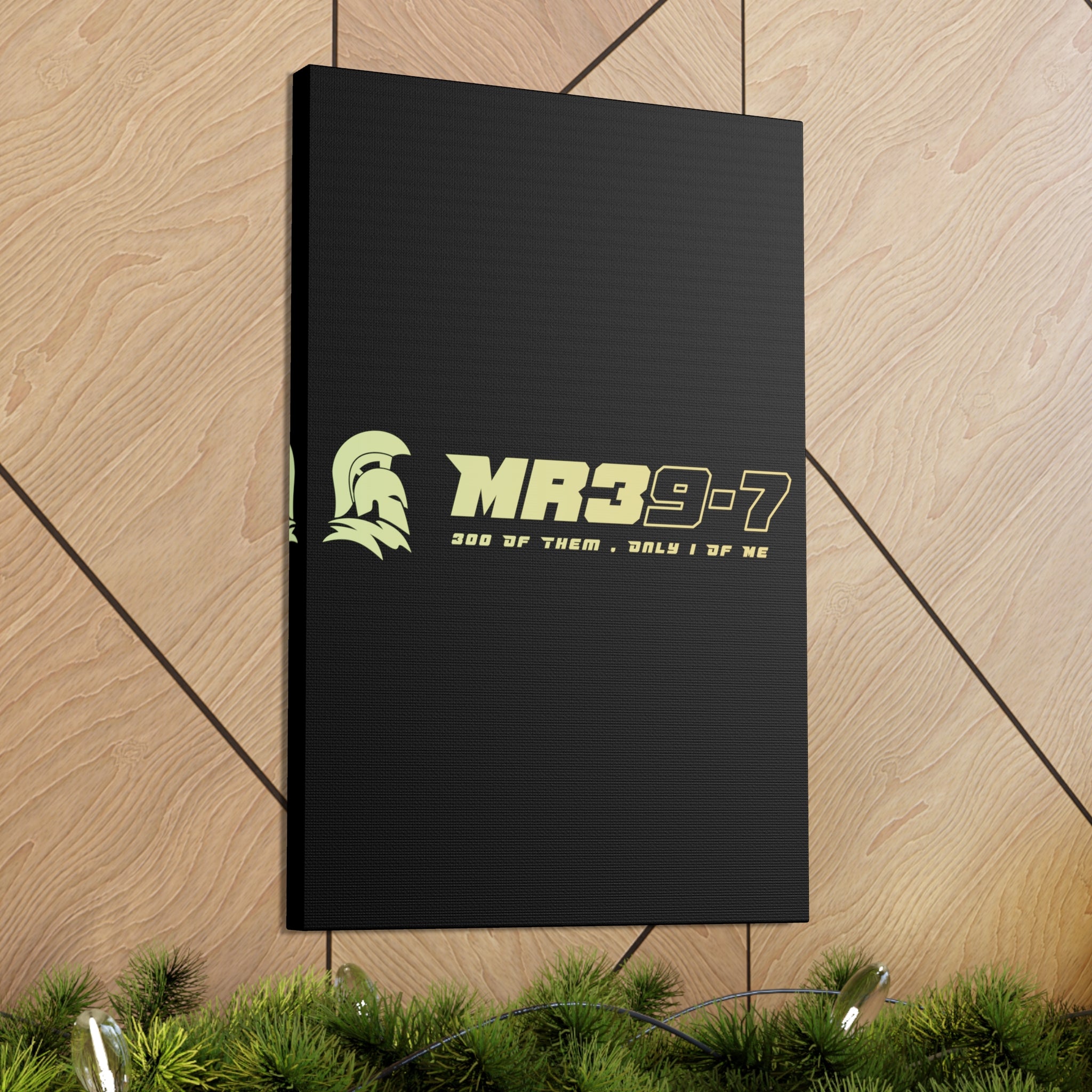 Canvas Gallery Wraps (A1•SPARTA RANGE)