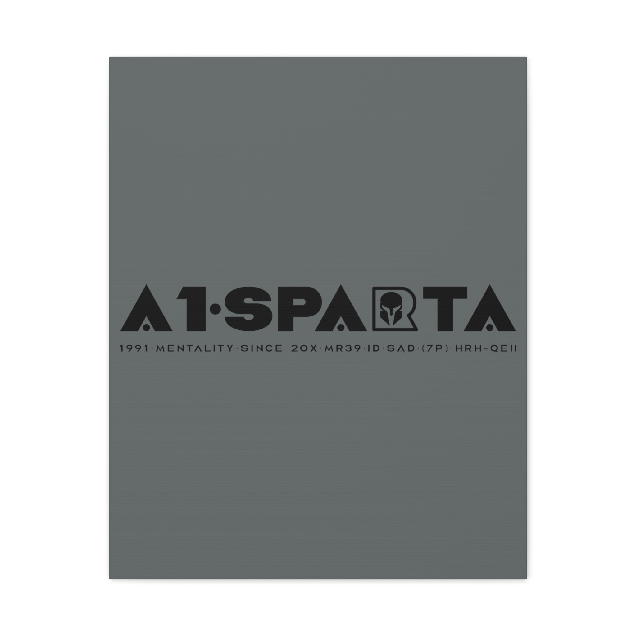 Canvas Gallery Wraps (A1•SPARTA RANGE)