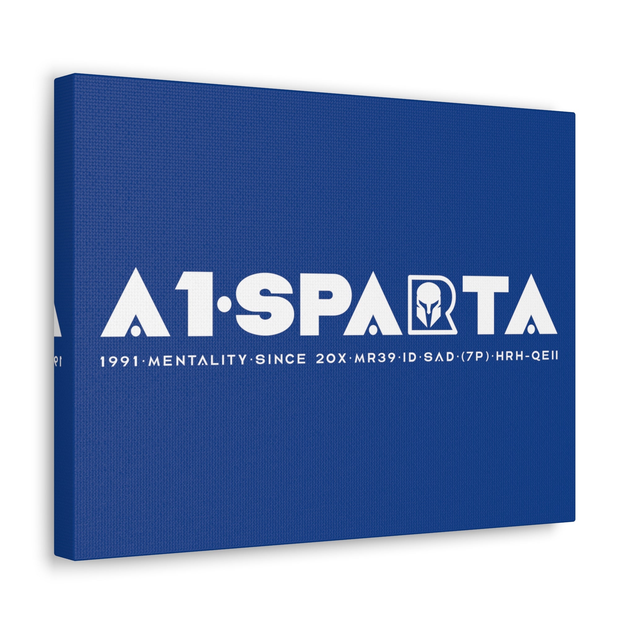 Canvas Gallery Wraps (A1•SPARTA RANGE)