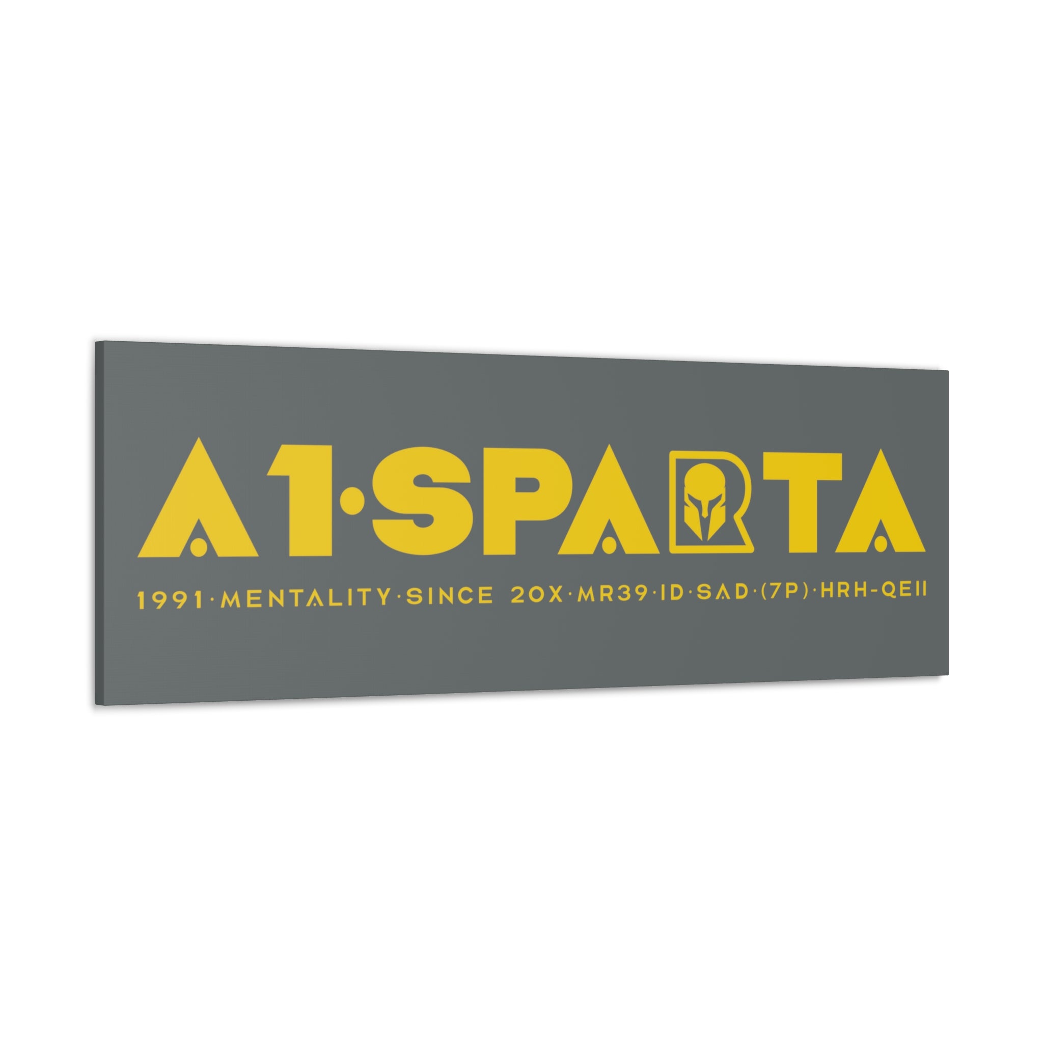 Canvas Gallery Wraps (A1•SPARTA RANGE)