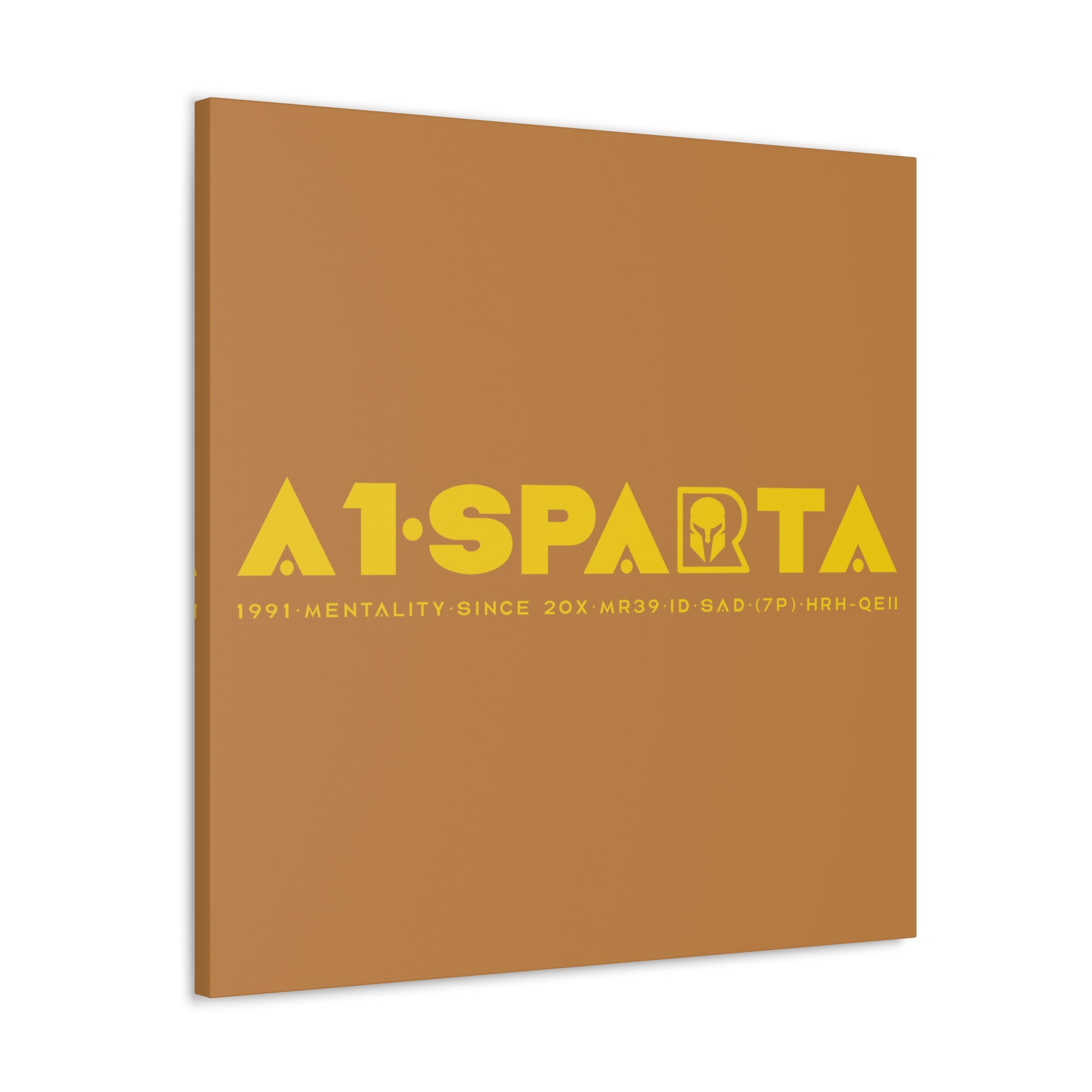 Canvas Gallery Wraps (A1•SPARTA RANGE)