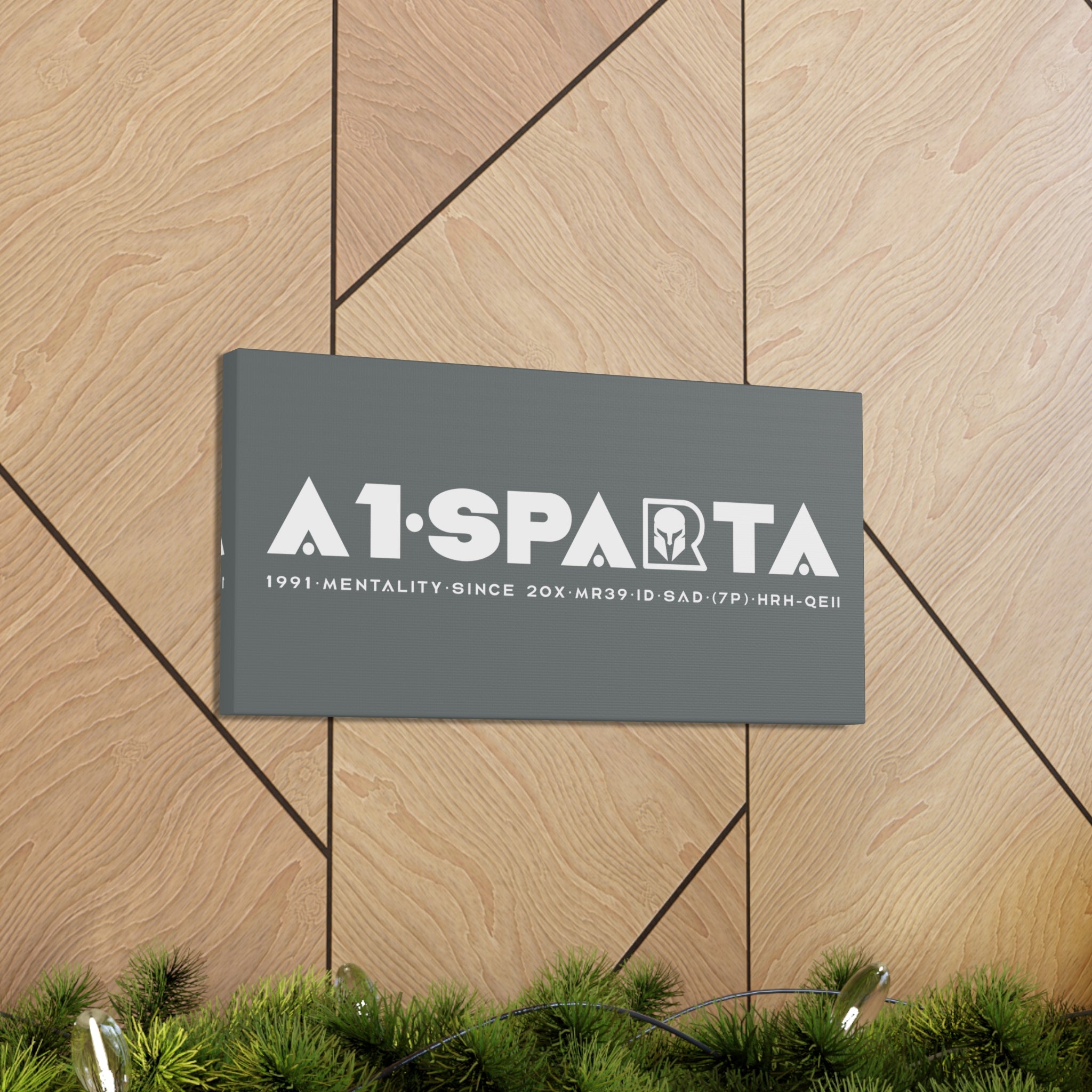 Canvas Gallery Wraps (A1•SPARTA RANGE)