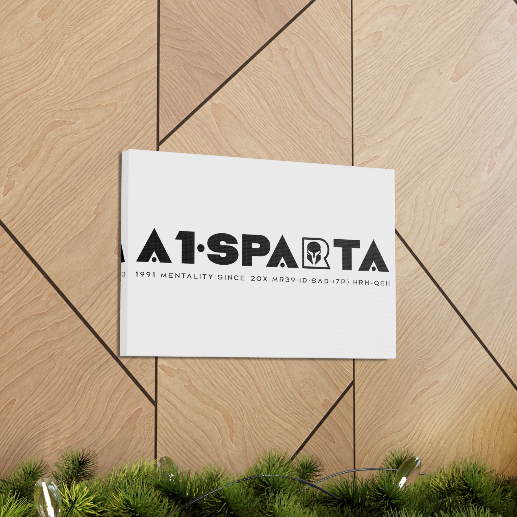 Canvas Gallery Wraps (A1•SPARTA RANGE)