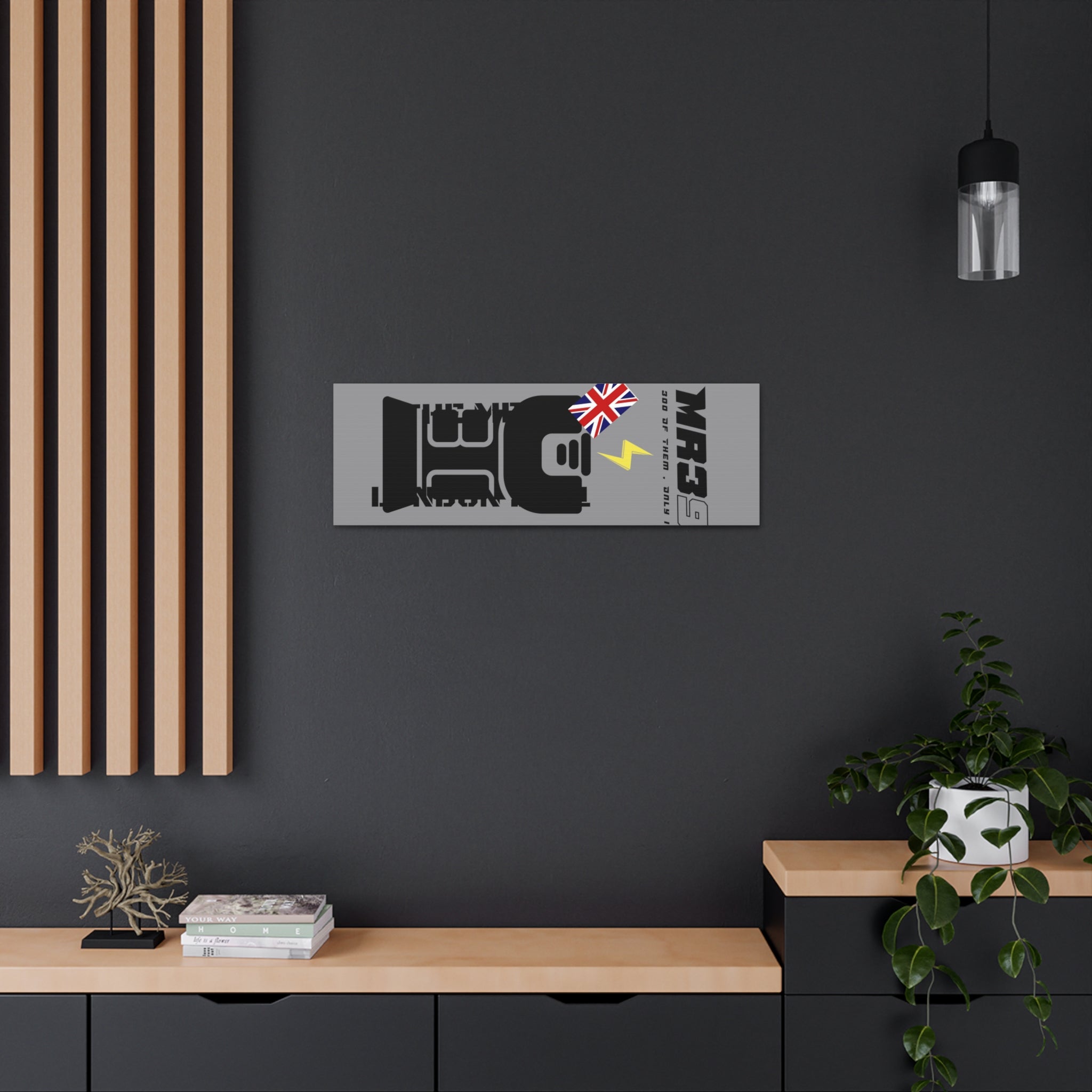 Copy of Canvas Gallery Wraps MR 39 Tasered by The MET 2021