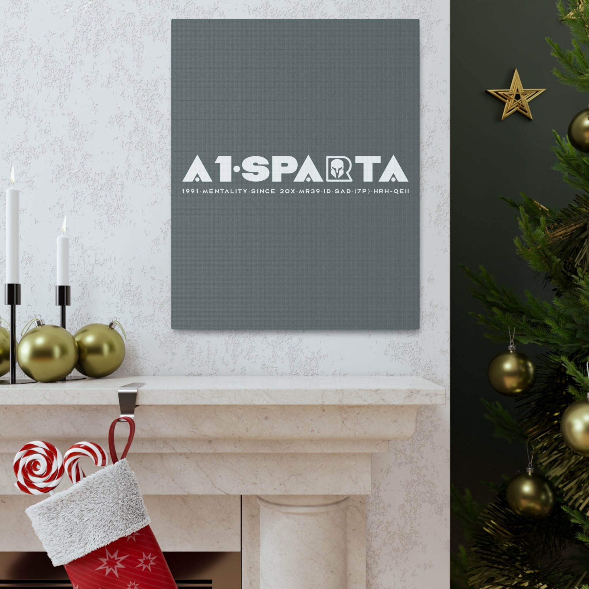 Canvas Gallery Wraps (A1•SPARTA RANGE)