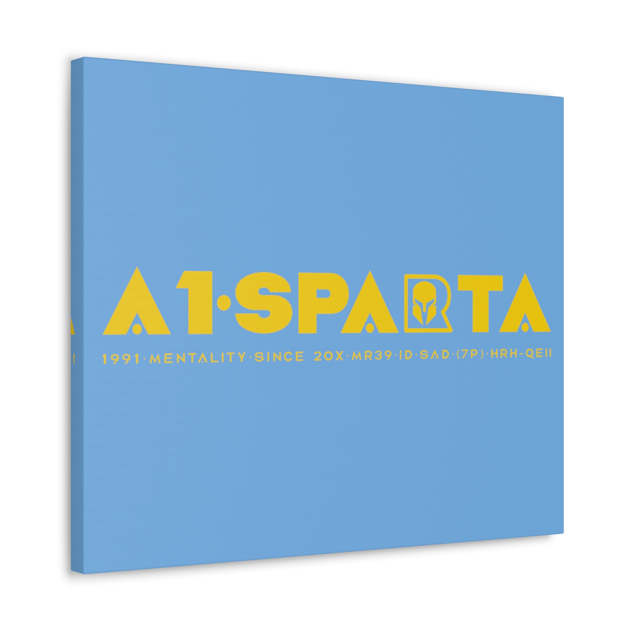 Canvas Gallery Wraps (A1•SPARTA RANGE)