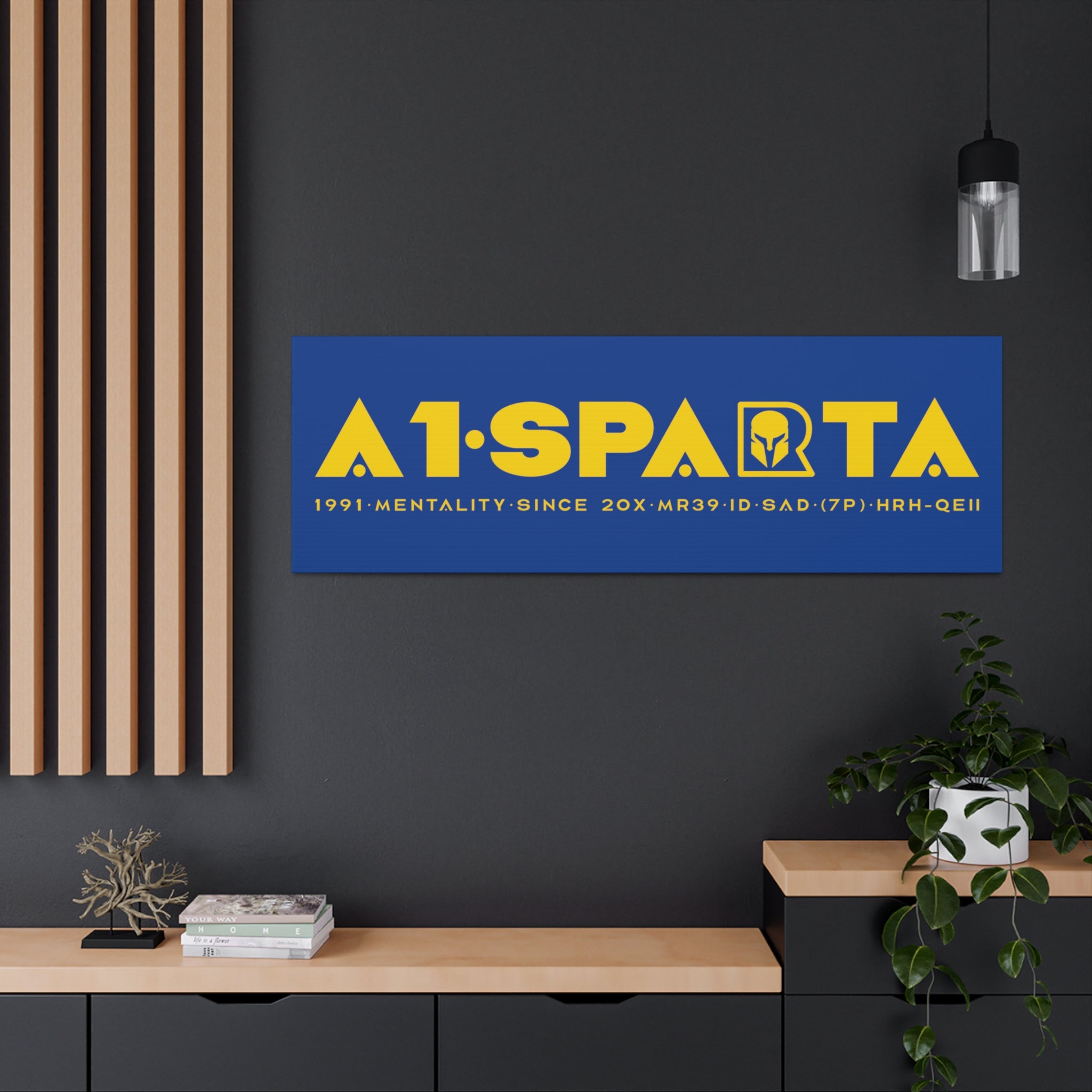 Canvas Gallery Wraps (A1•SPARTA RANGE)